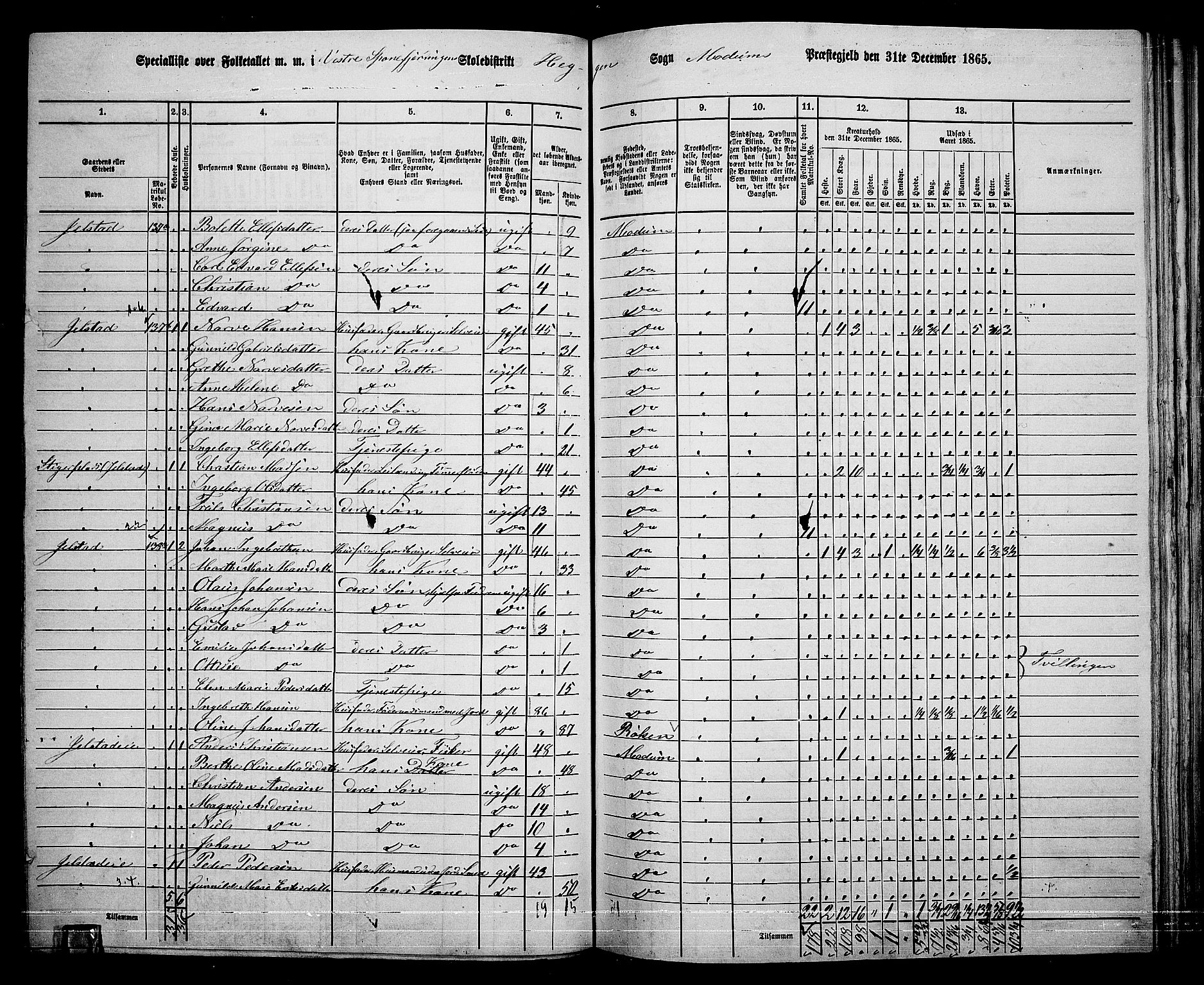 RA, 1865 census for Modum, 1865, p. 192