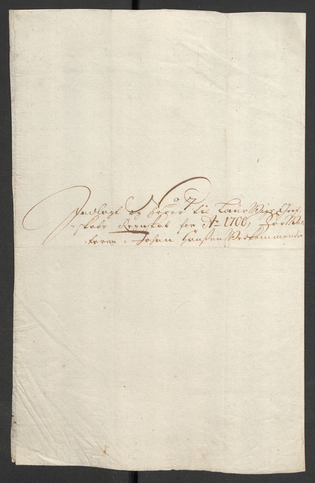 Rentekammeret inntil 1814, Reviderte regnskaper, Fogderegnskap, RA/EA-4092/R33/L1976: Fogderegnskap Larvik grevskap, 1698-1701, p. 281