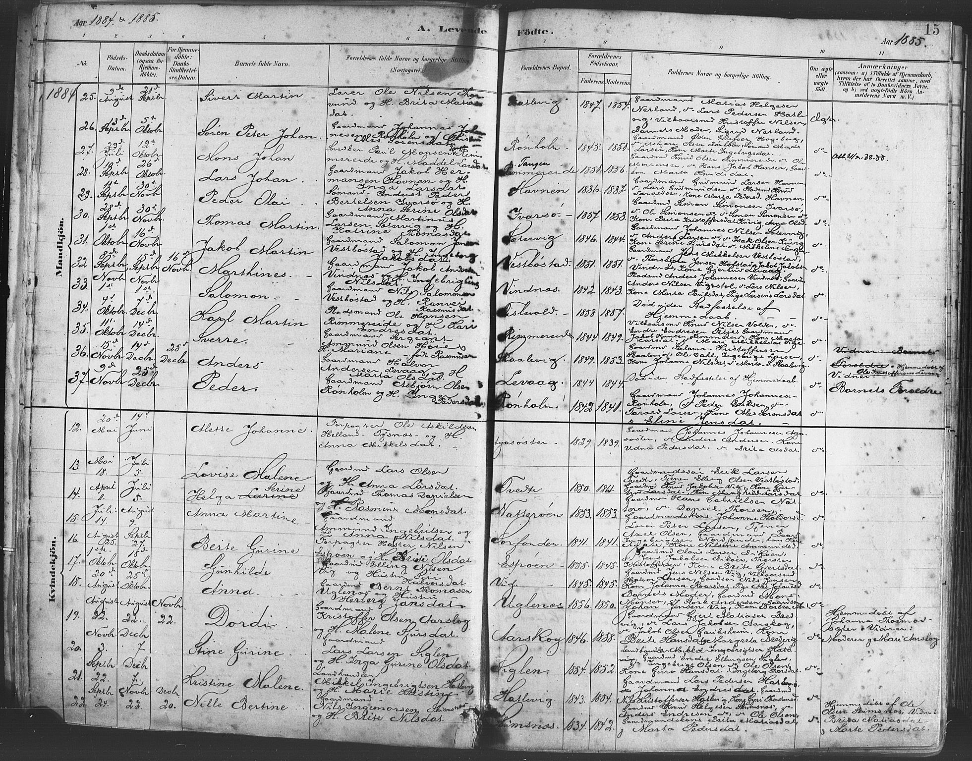 Fitjar sokneprestembete, AV/SAB-A-99926: Parish register (official) no. A 2, 1882-1899, p. 15