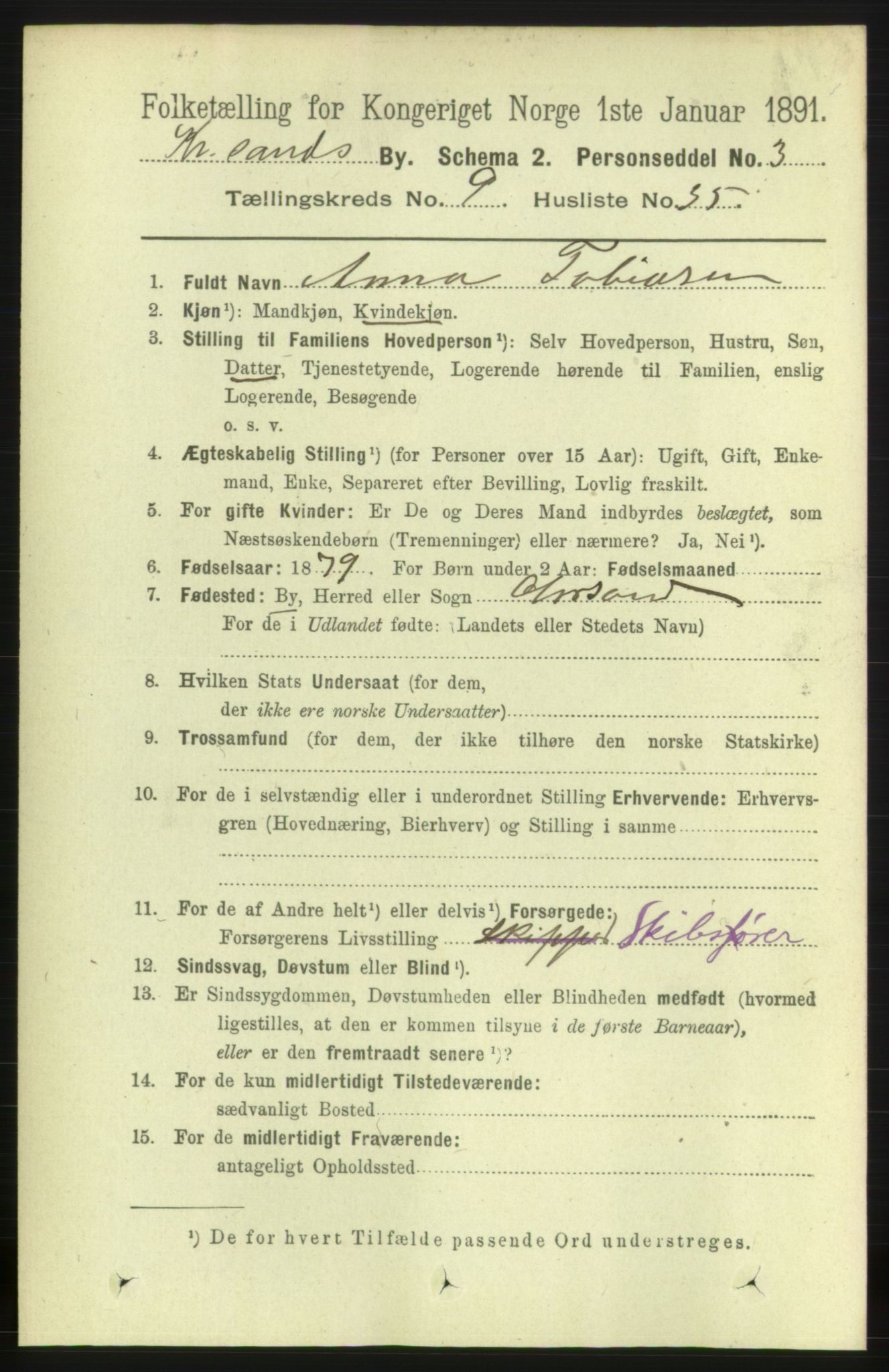 RA, 1891 census for 1001 Kristiansand, 1891, p. 5263