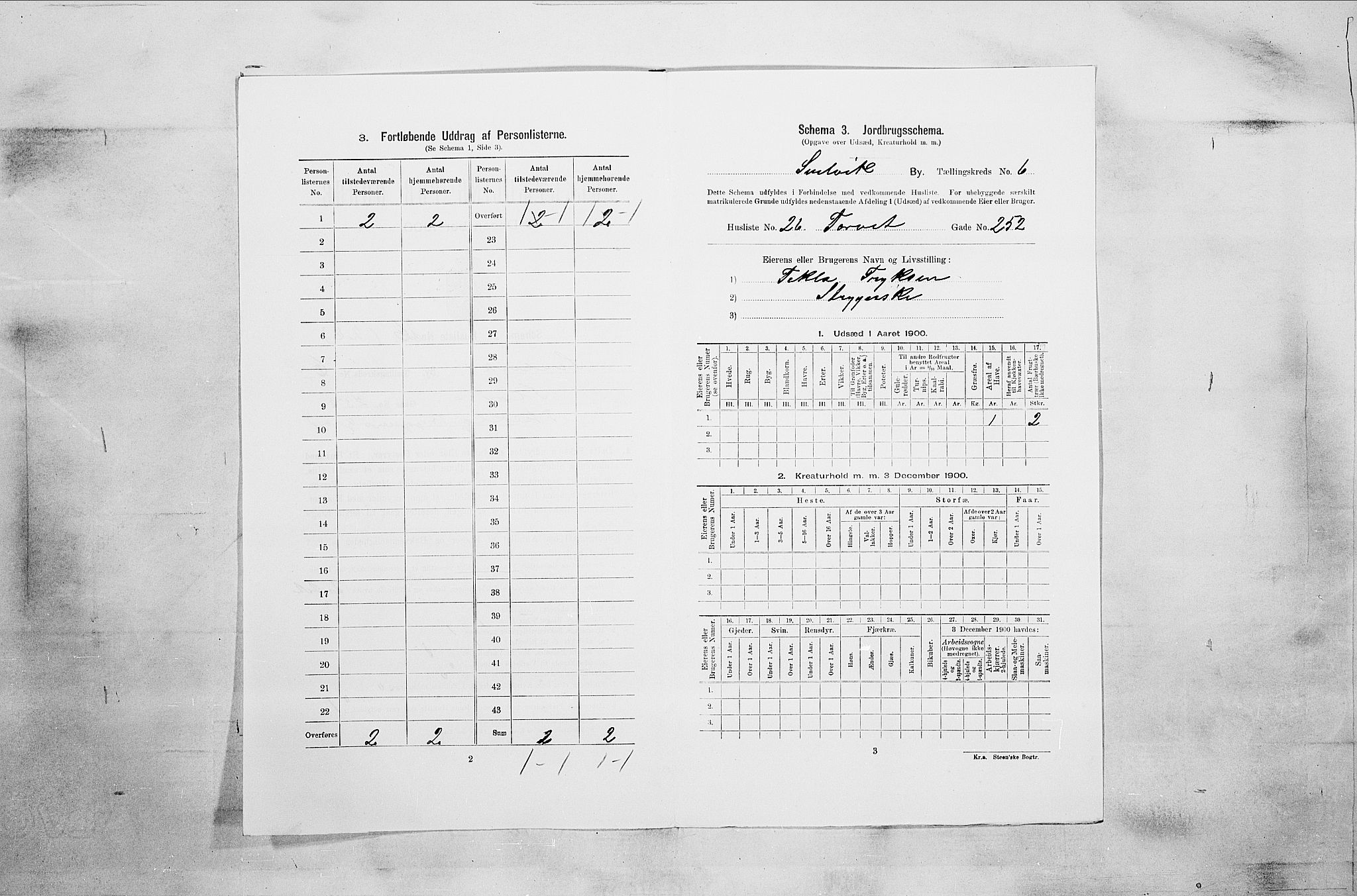 RA, 1900 census for Svelvik, 1900, p. 822