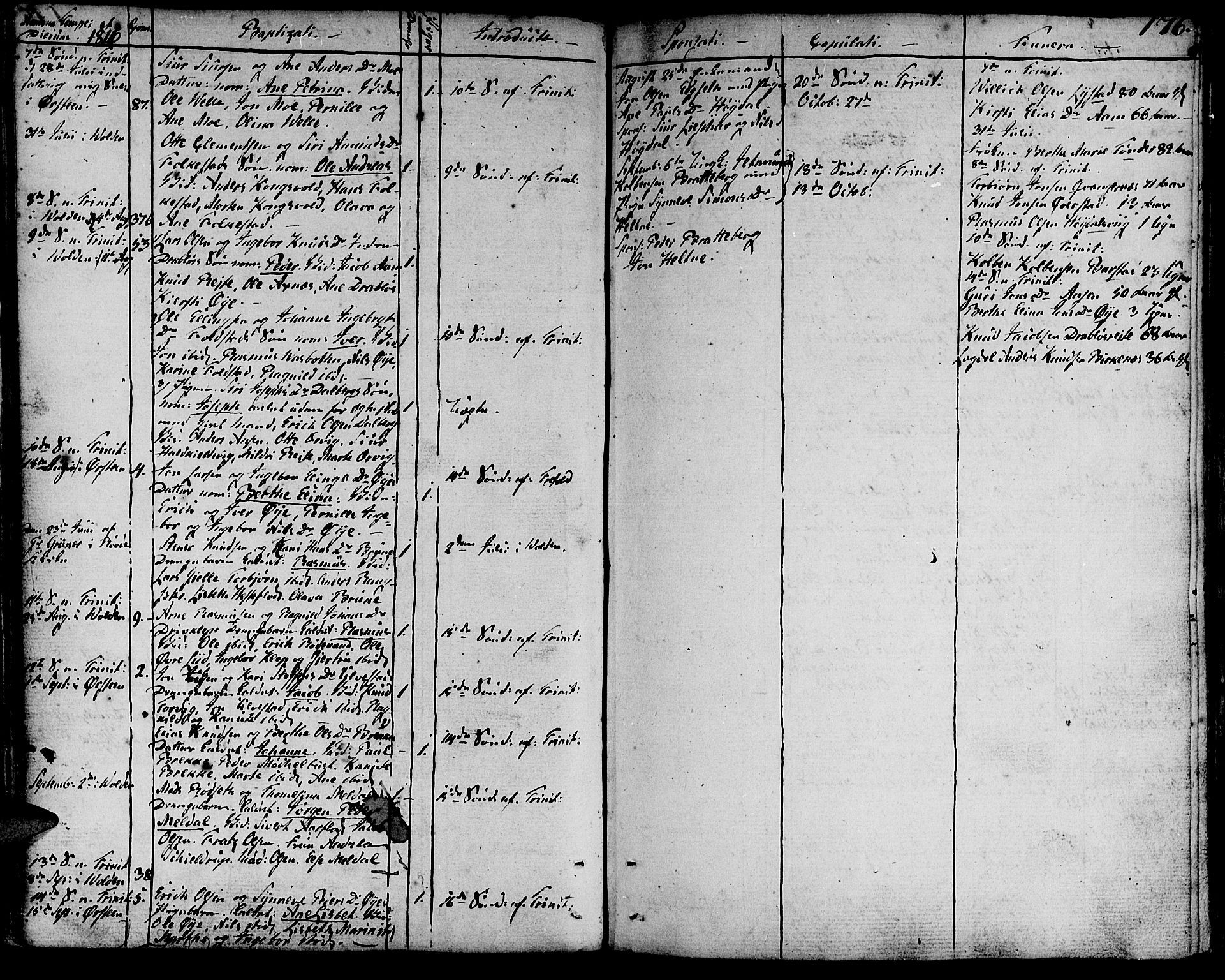 Ministerialprotokoller, klokkerbøker og fødselsregistre - Møre og Romsdal, SAT/A-1454/511/L0137: Parish register (official) no. 511A04, 1787-1816, p. 176