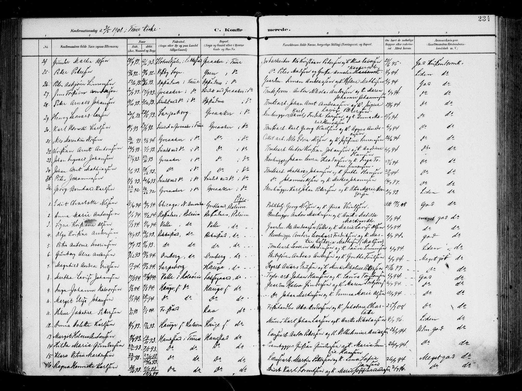 Tune prestekontor Kirkebøker, AV/SAO-A-2007/F/Fa/L0020: Parish register (official) no. 20, 1904-1909, p. 234
