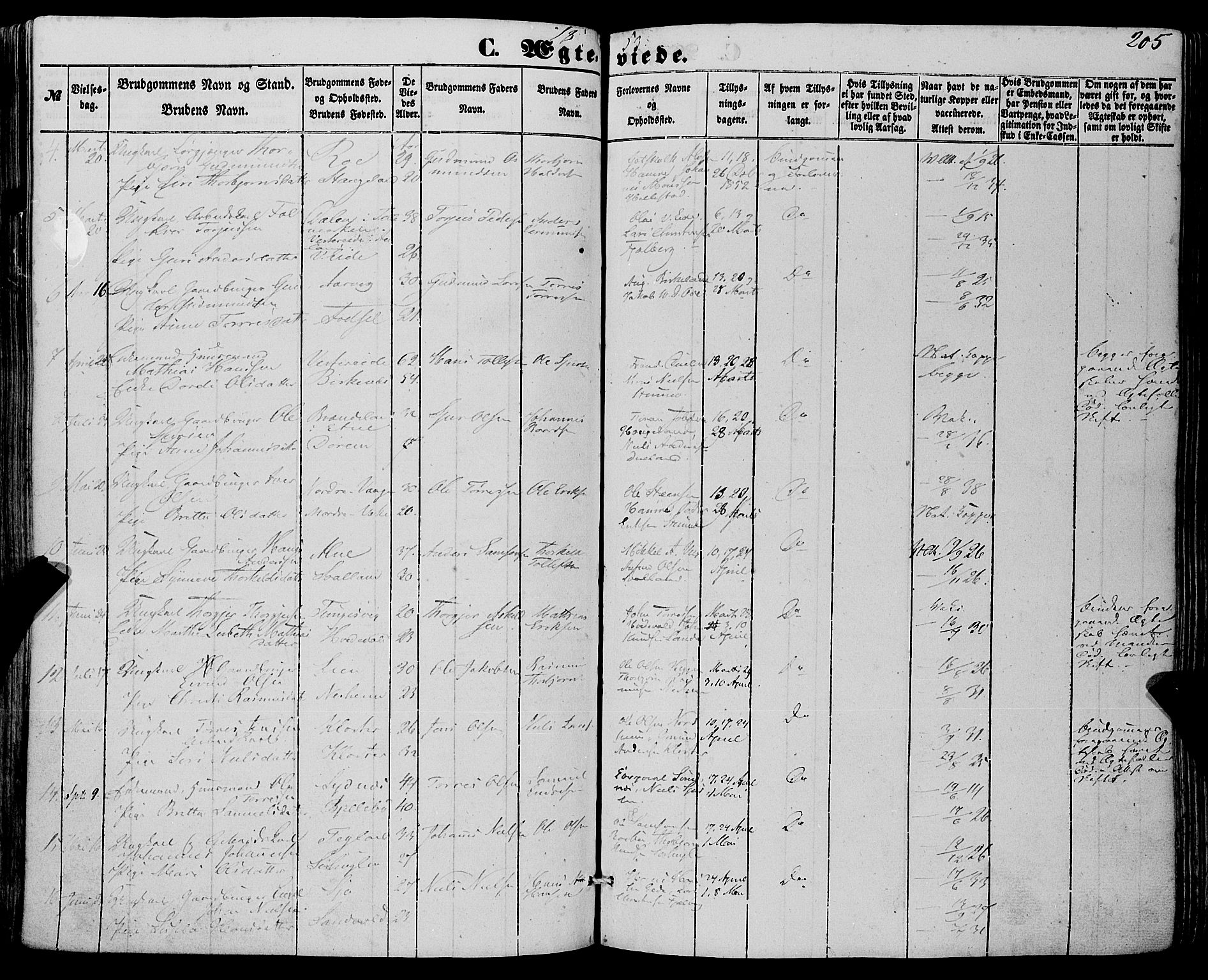 Fjelberg sokneprestembete, SAB/A-75201/H/Haa: Parish register (official) no. A 7, 1851-1867, p. 205