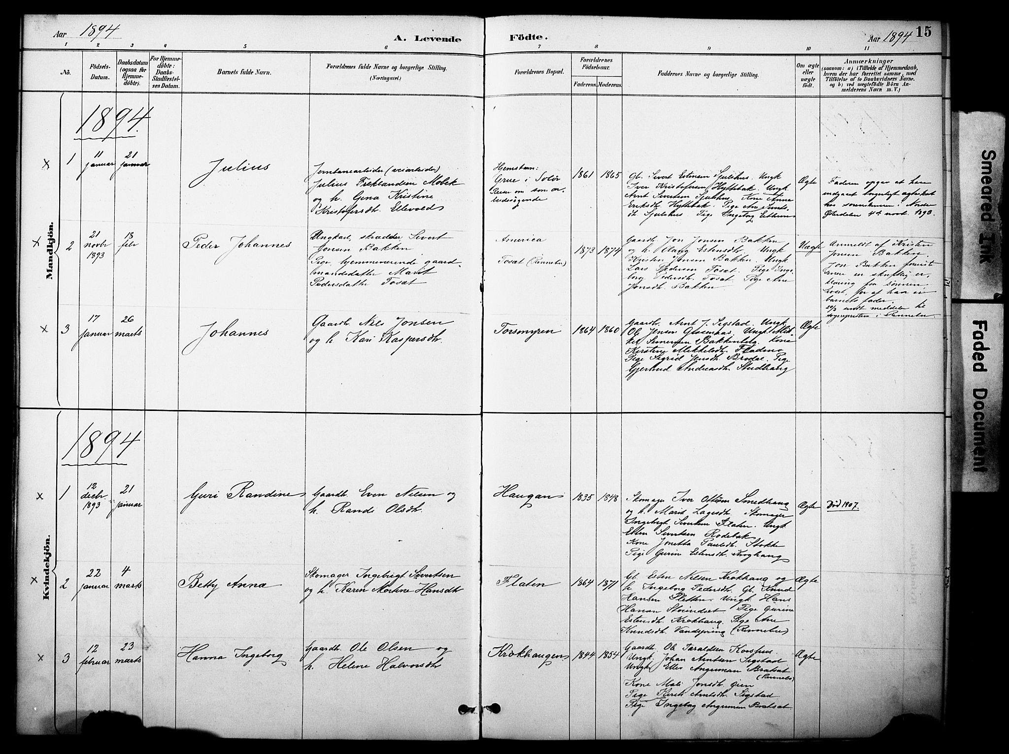 Kvikne prestekontor, AV/SAH-PREST-064/H/Ha/Haa/L0007: Parish register (official) no. 7, 1887-1911, p. 15