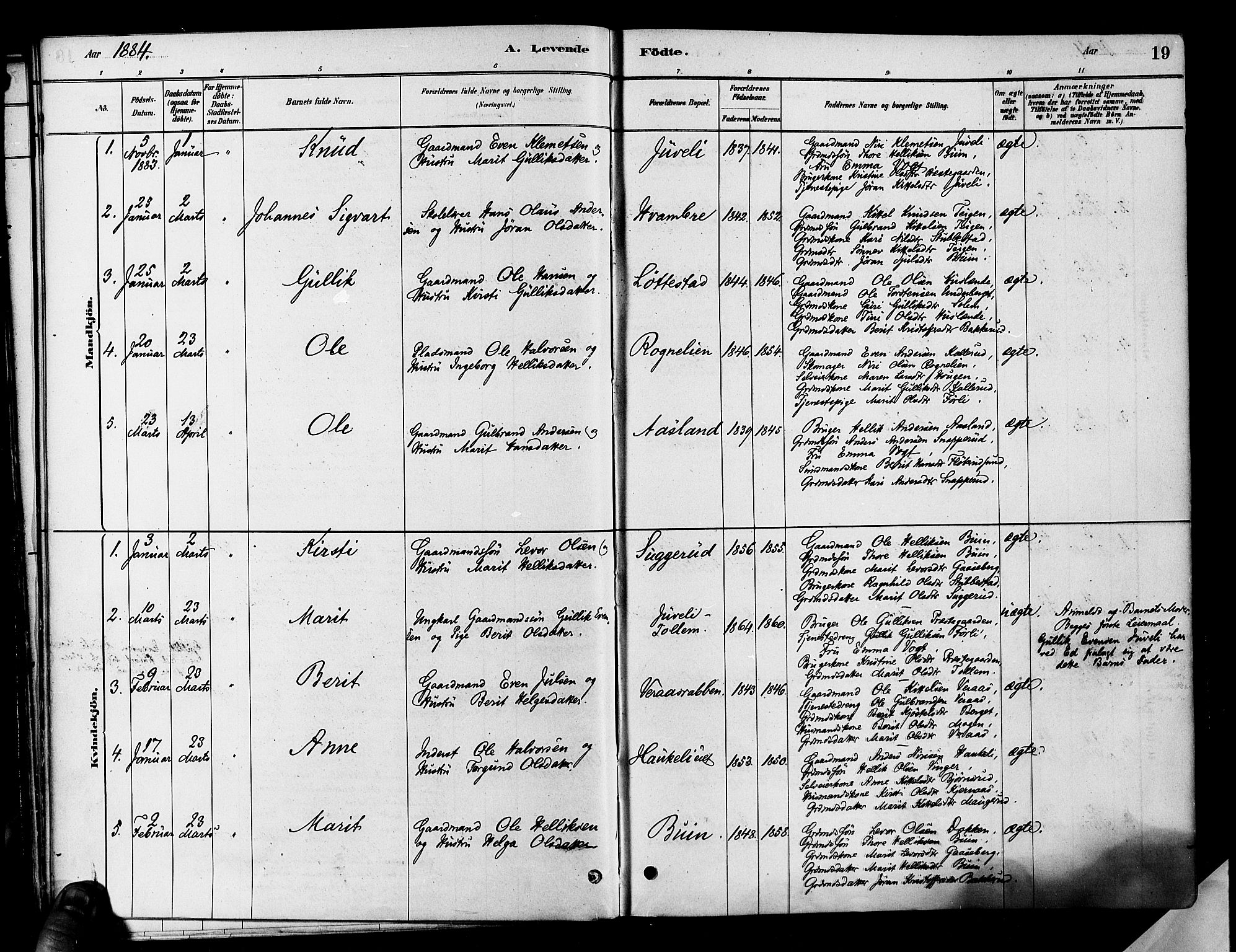 Flesberg kirkebøker, SAKO/A-18/F/Fa/L0008: Parish register (official) no. I 8, 1879-1899, p. 19