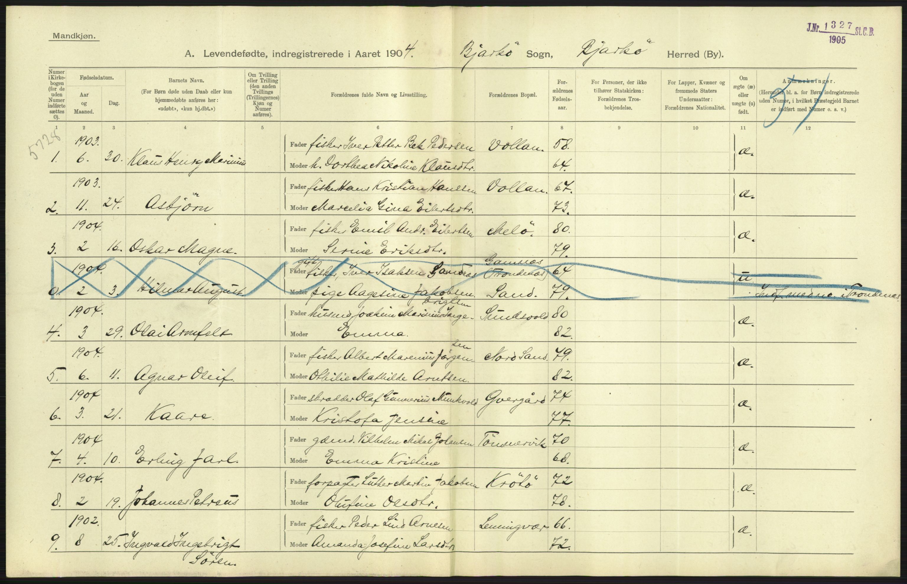 Statistisk sentralbyrå, Sosiodemografiske emner, Befolkning, AV/RA-S-2228/D/Df/Dfa/Dfab/L0022: Tromsø amt: Fødte, gifte, døde, 1904, p. 17