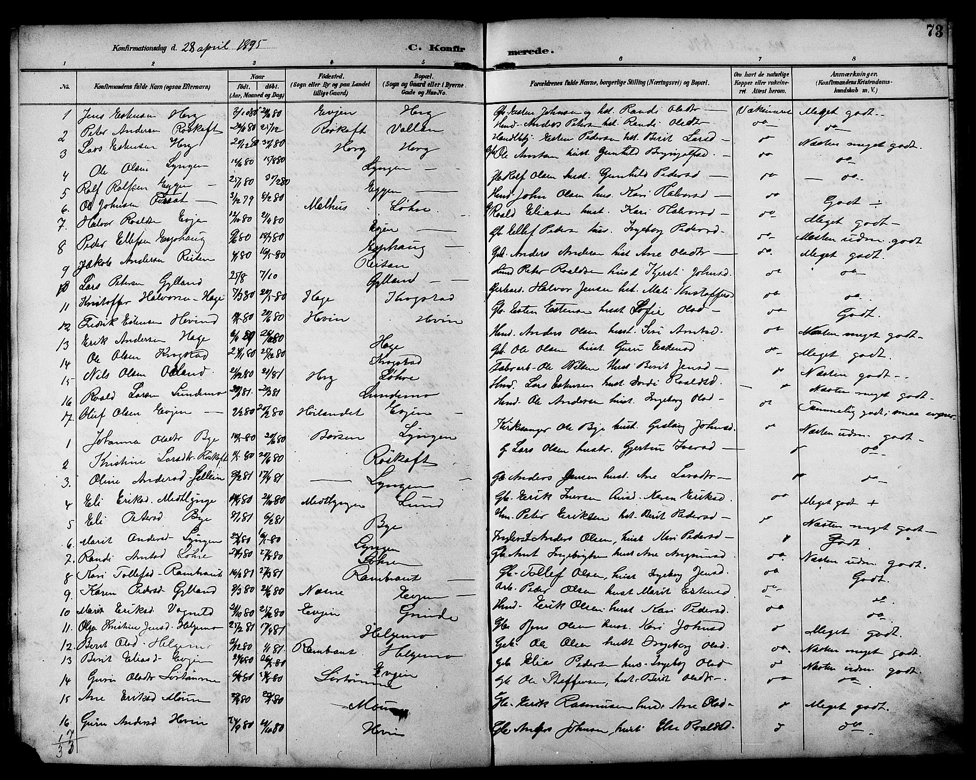 Ministerialprotokoller, klokkerbøker og fødselsregistre - Sør-Trøndelag, AV/SAT-A-1456/692/L1111: Parish register (copy) no. 692C06, 1890-1904, p. 73