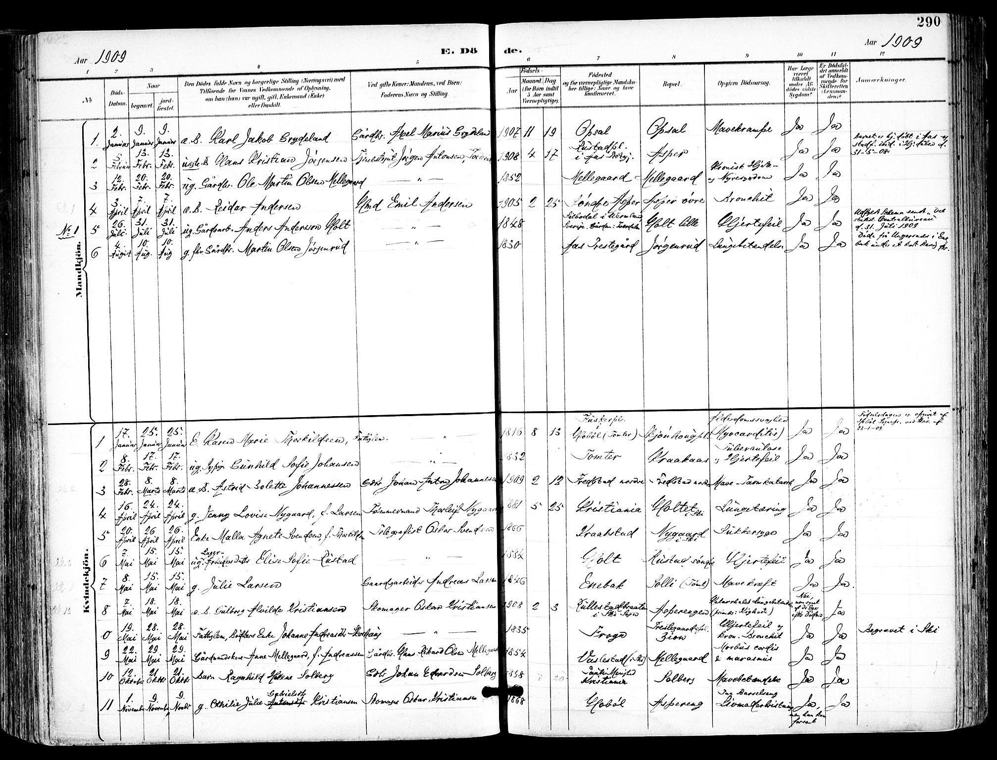 Kråkstad prestekontor Kirkebøker, SAO/A-10125a/F/Fa/L0010: Parish register (official) no. I 10, 1893-1931, p. 290