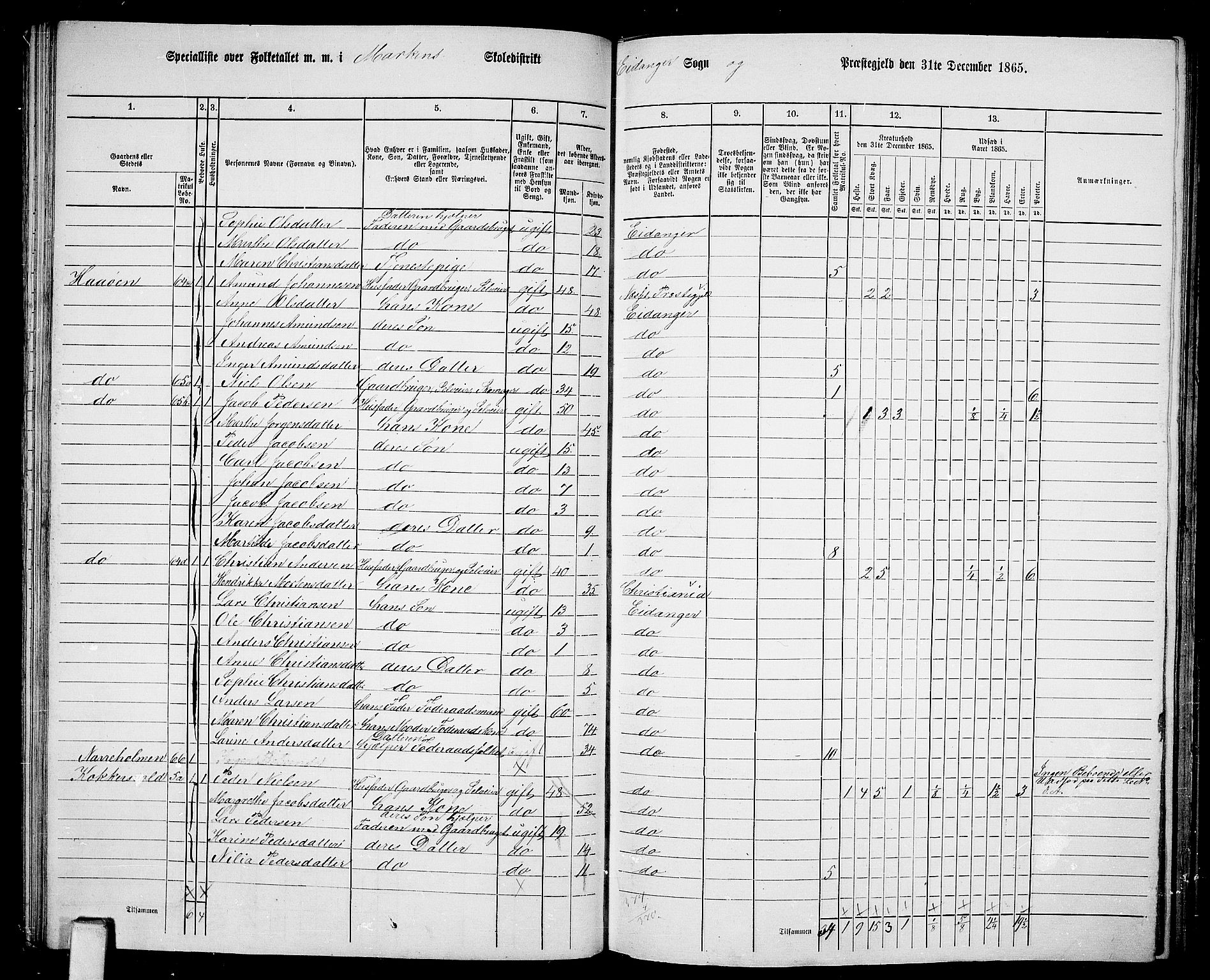 RA, 1865 census for Eidanger, 1865, p. 35