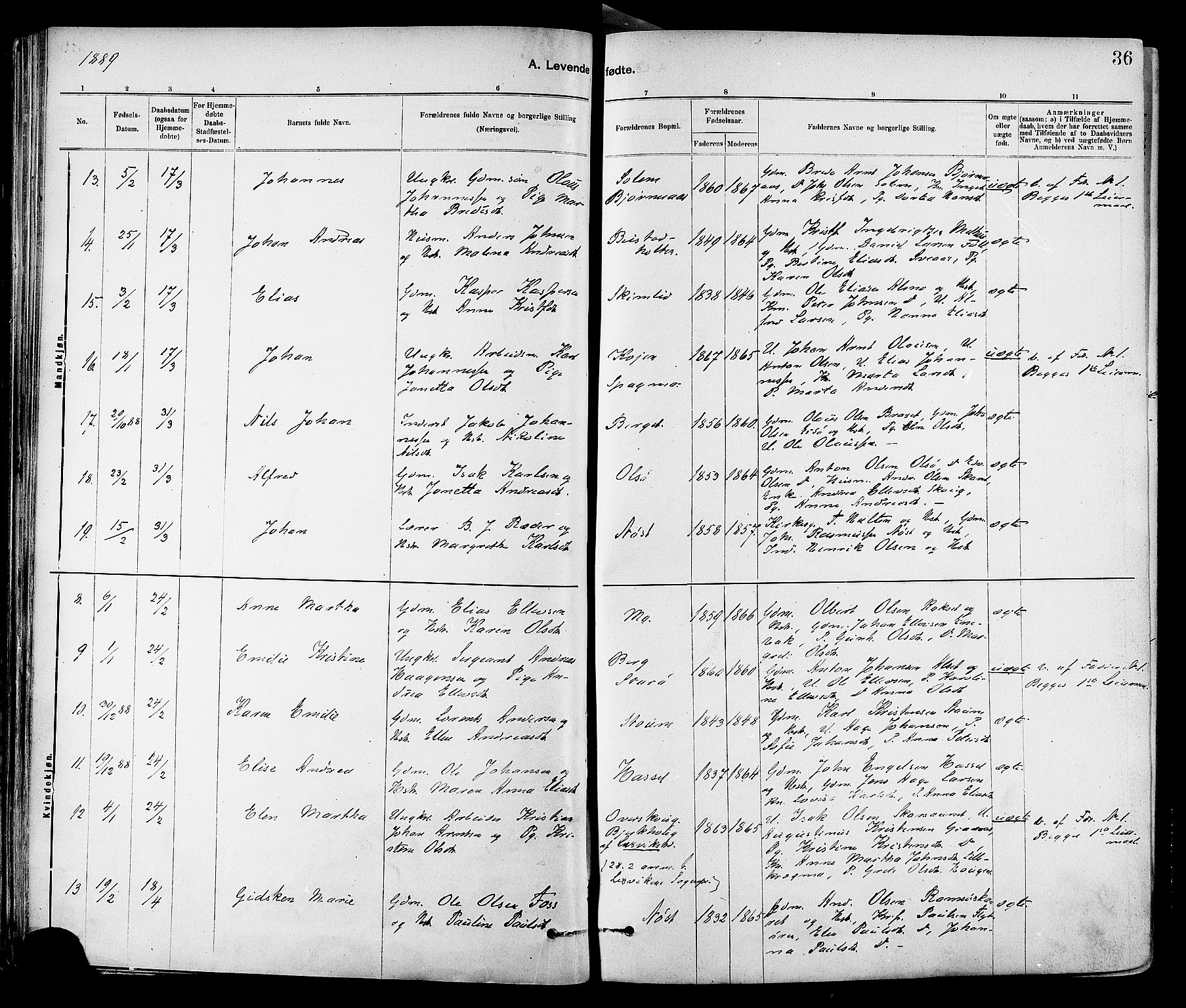 Ministerialprotokoller, klokkerbøker og fødselsregistre - Sør-Trøndelag, AV/SAT-A-1456/647/L0634: Parish register (official) no. 647A01, 1885-1896, p. 36