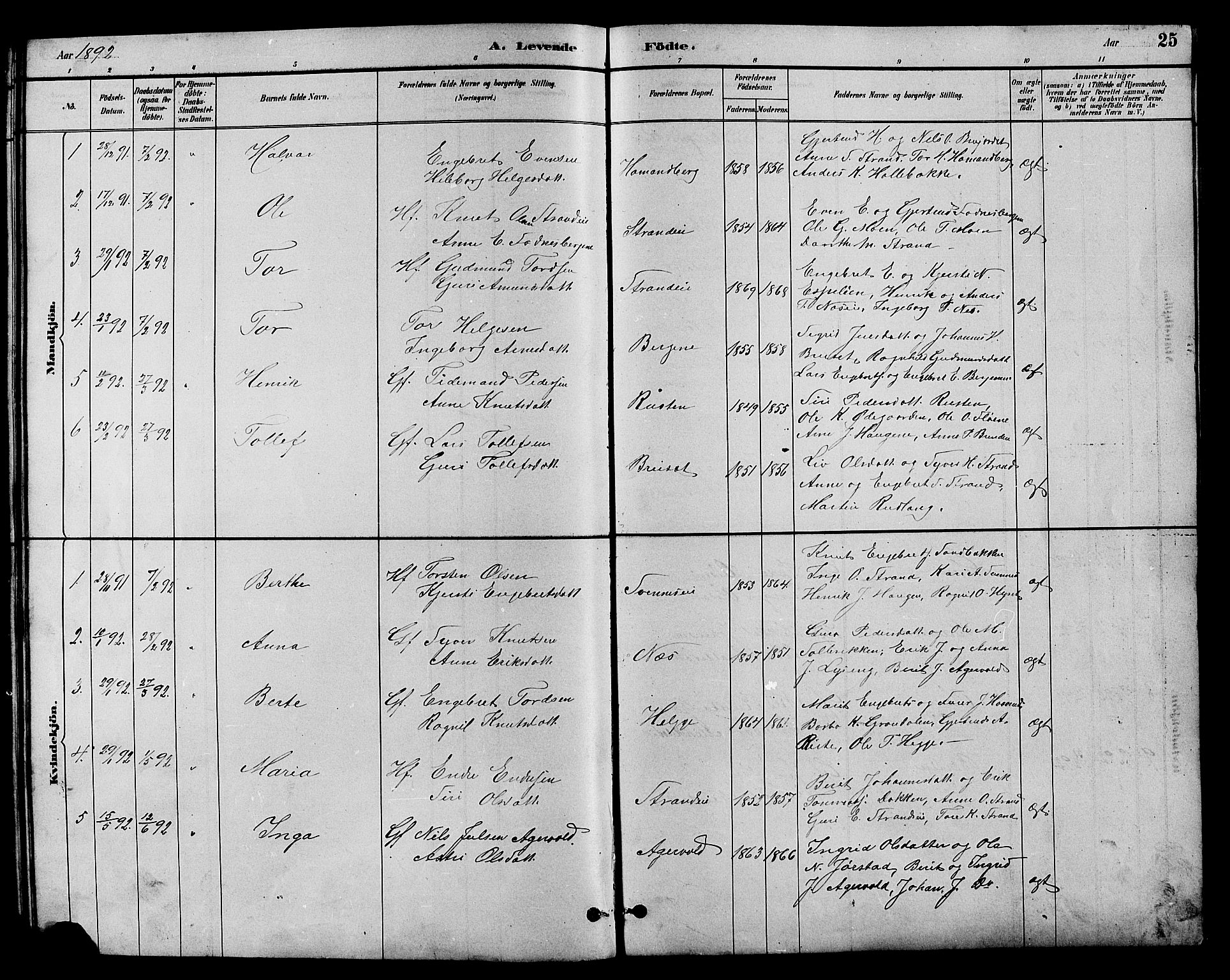 Nord-Aurdal prestekontor, SAH/PREST-132/H/Ha/Hab/L0007: Parish register (copy) no. 7, 1883-1910, p. 25
