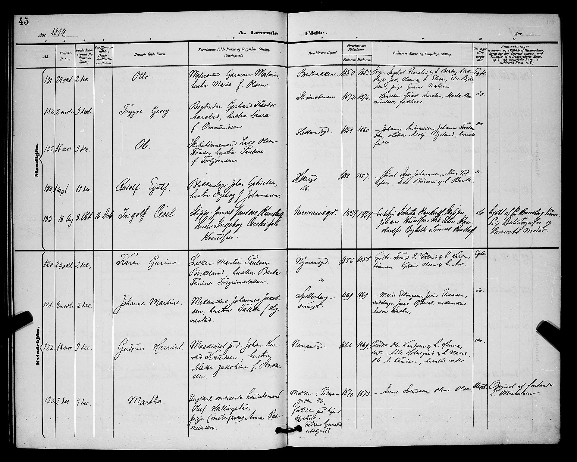 St. Johannes sokneprestkontor, AV/SAST-A-101814/001/30/30BB/L0003: Parish register (copy) no. B 3, 1893-1900, p. 45