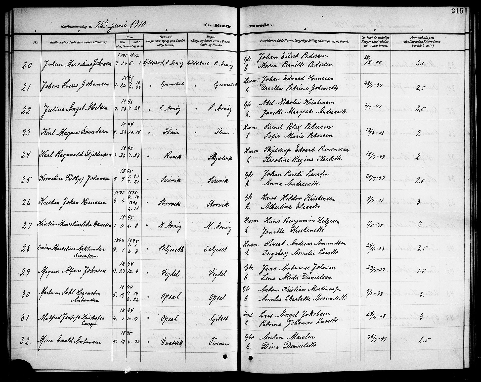 Ministerialprotokoller, klokkerbøker og fødselsregistre - Nordland, AV/SAT-A-1459/805/L0109: Parish register (copy) no. 805C05, 1900-1911, p. 215