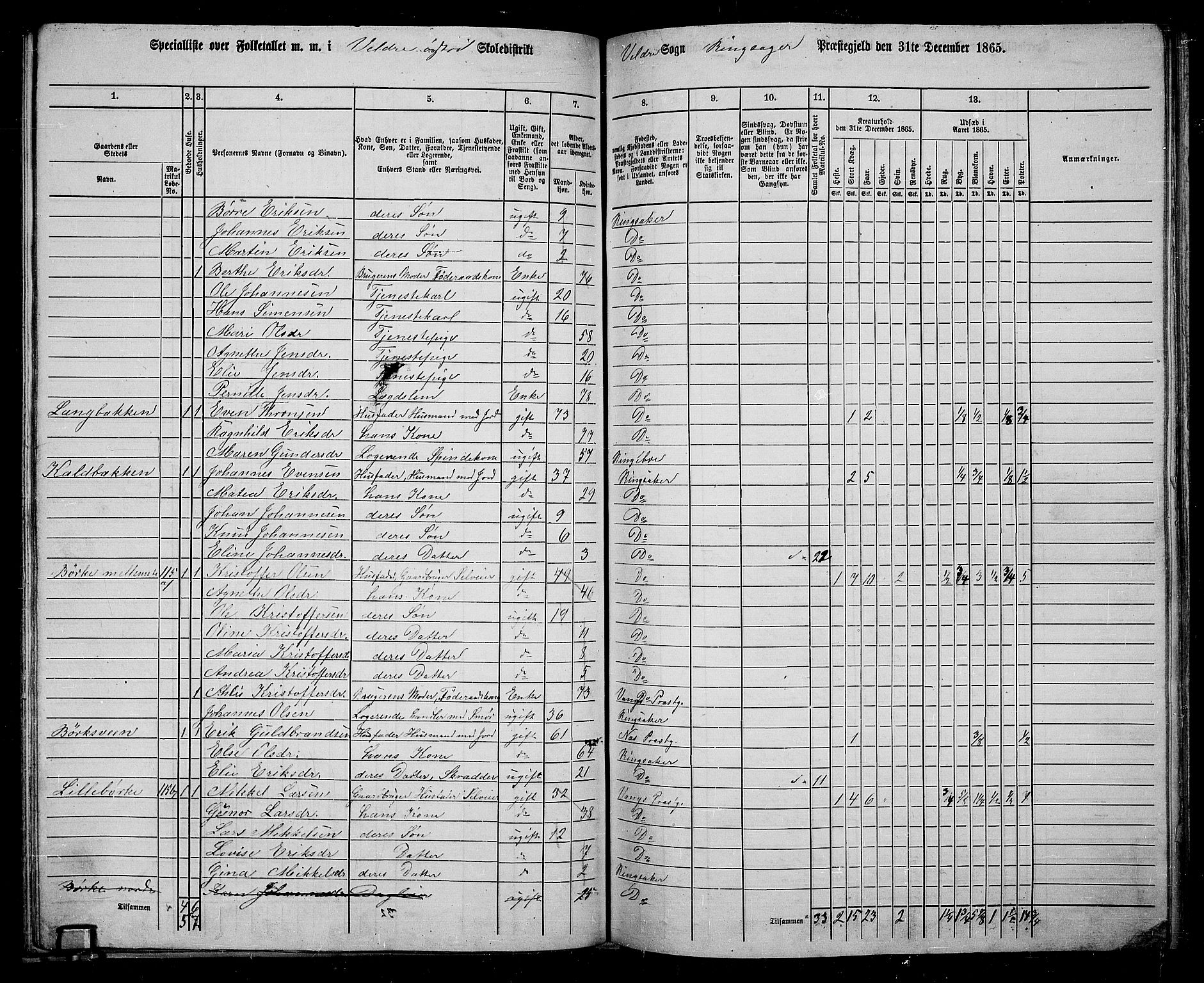 RA, 1865 census for Ringsaker, 1865, p. 183