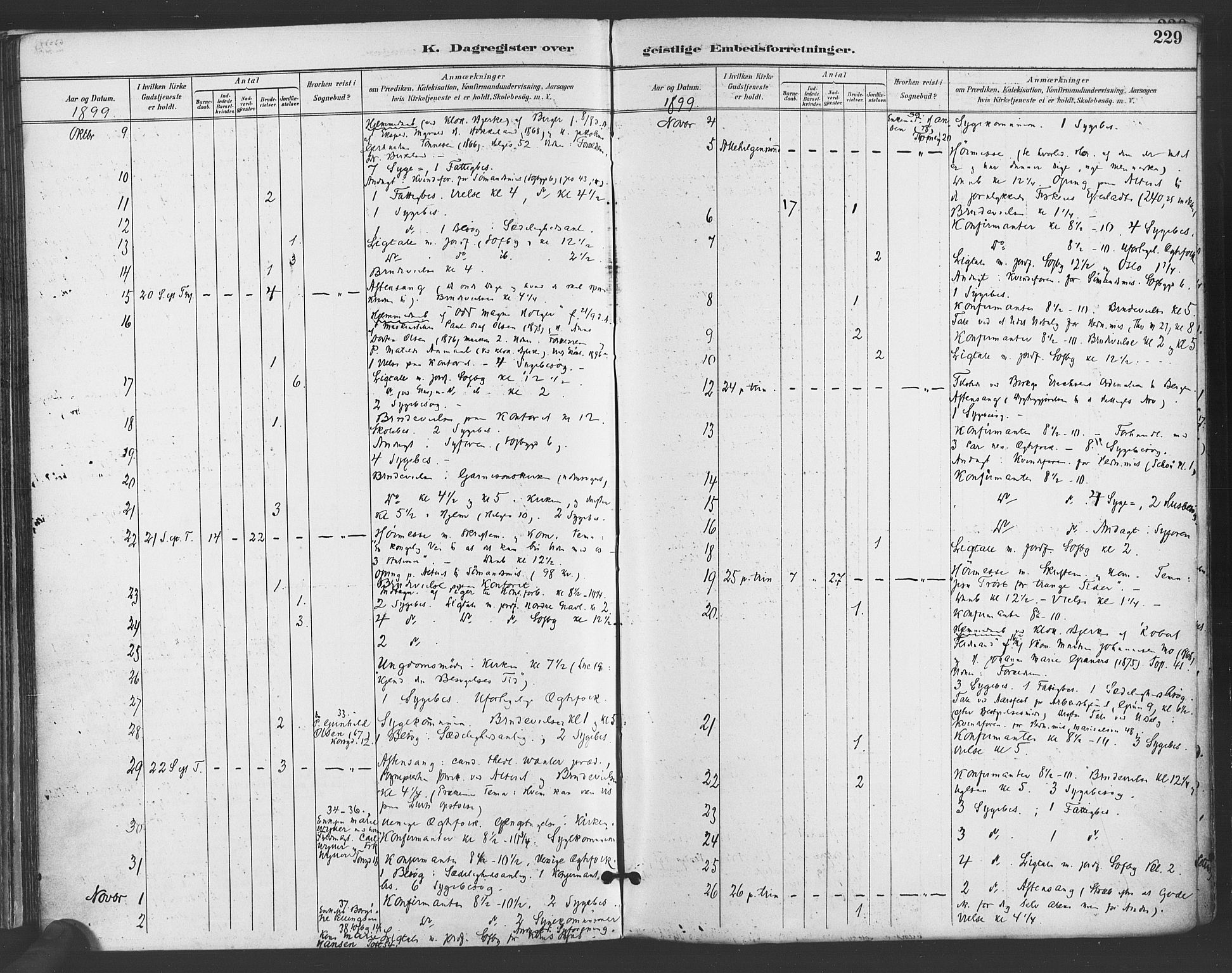 Paulus prestekontor Kirkebøker, AV/SAO-A-10871/F/Fa/L0009: Parish register (official) no. 9, 1891-1901, p. 229
