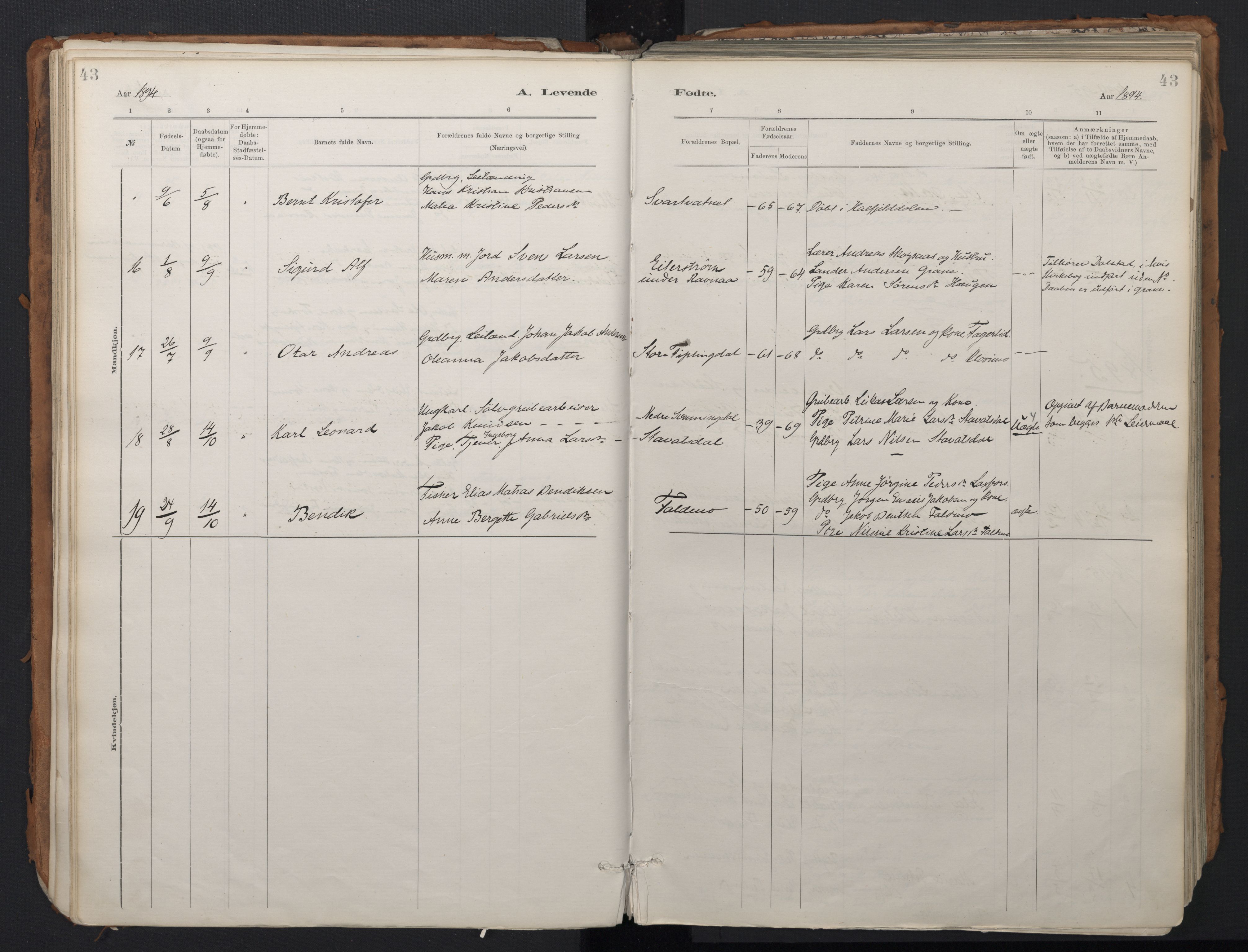 Ministerialprotokoller, klokkerbøker og fødselsregistre - Nordland, SAT/A-1459/824/L0338: Parish register (official) no. 824A01, 1880-1915, p. 43