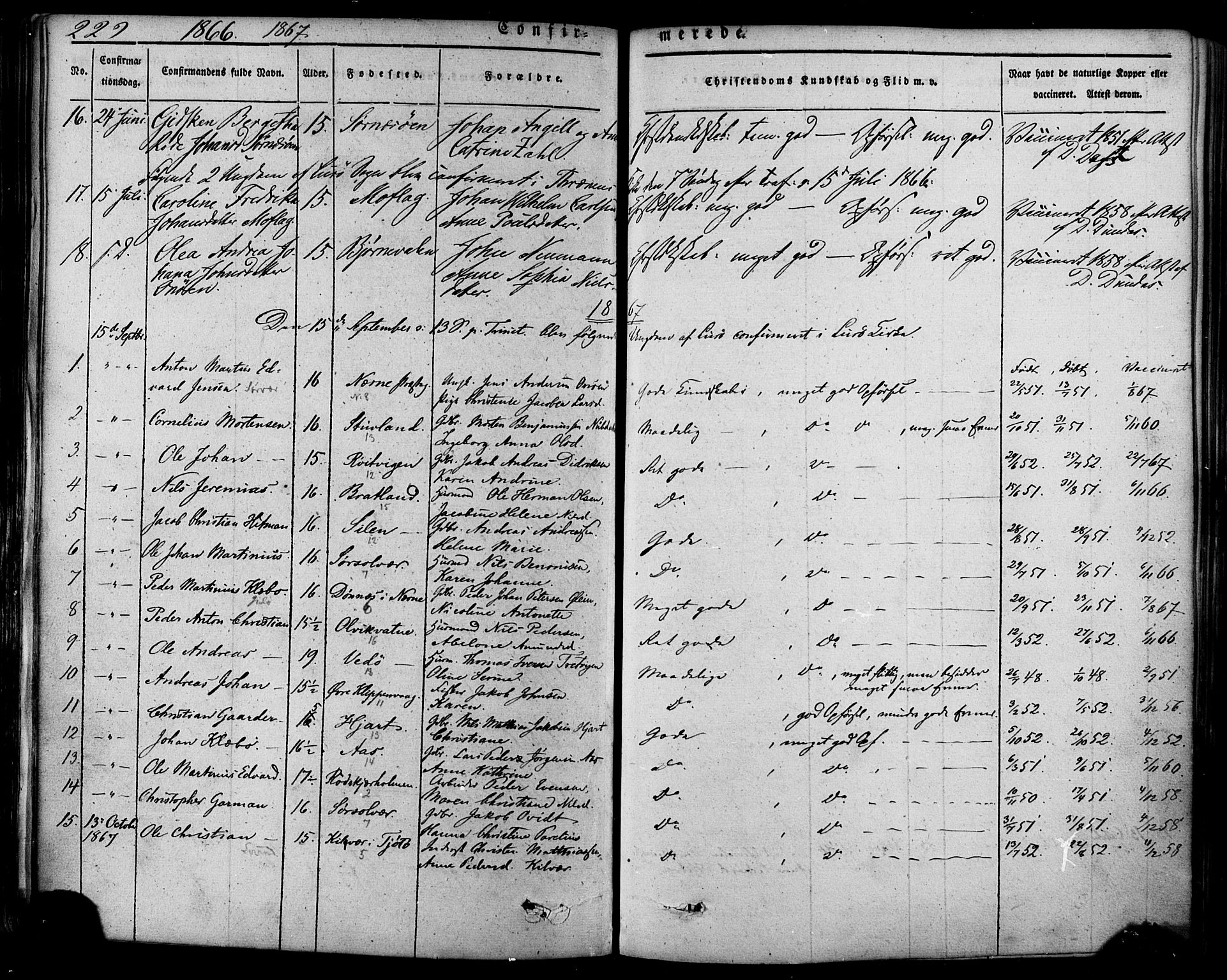 Ministerialprotokoller, klokkerbøker og fødselsregistre - Nordland, SAT/A-1459/839/L0567: Parish register (official) no. 839A04, 1863-1879, p. 229