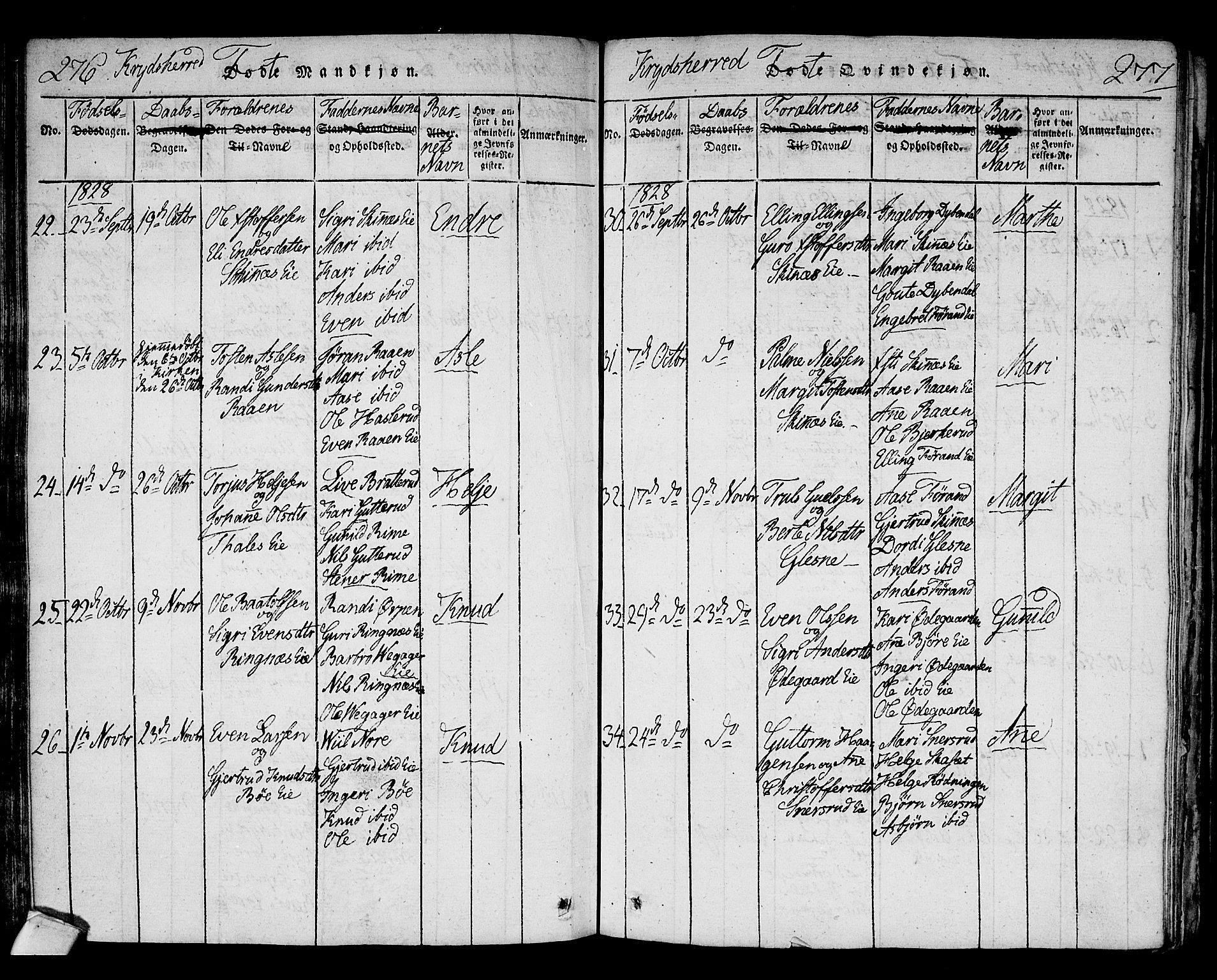 Sigdal kirkebøker, AV/SAKO-A-245/F/Fa/L0005: Parish register (official) no. I 5 /3, 1815-1829, p. 276-277