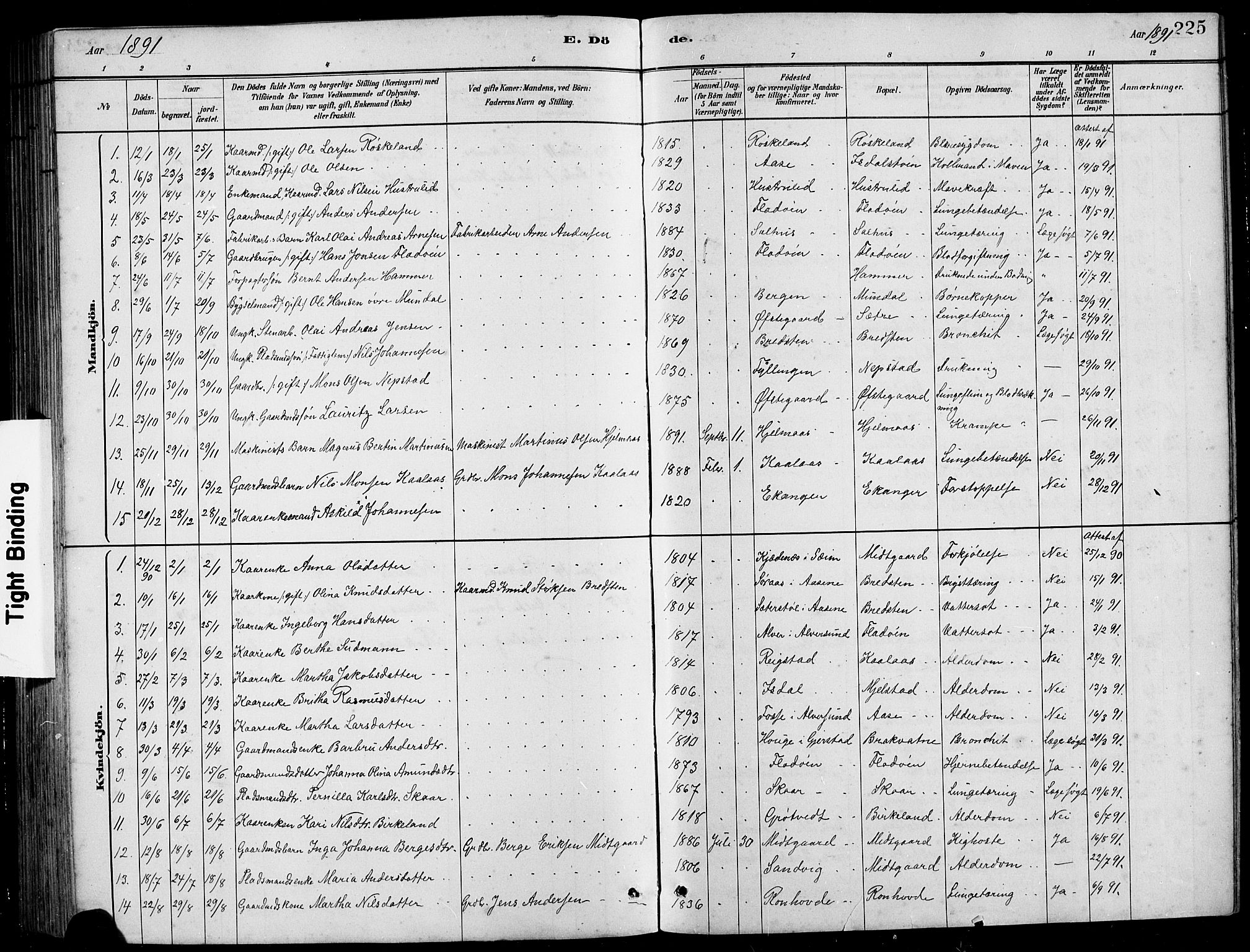 Hamre sokneprestembete, SAB/A-75501/H/Ha/Hab: Parish register (copy) no. B 3, 1881-1898, p. 225