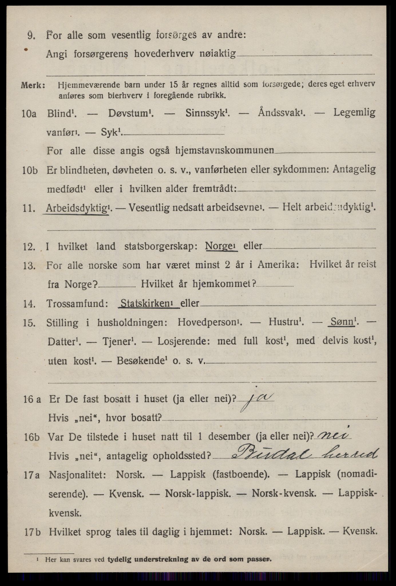 SAT, 1920 census for Soknedal, 1920, p. 4743