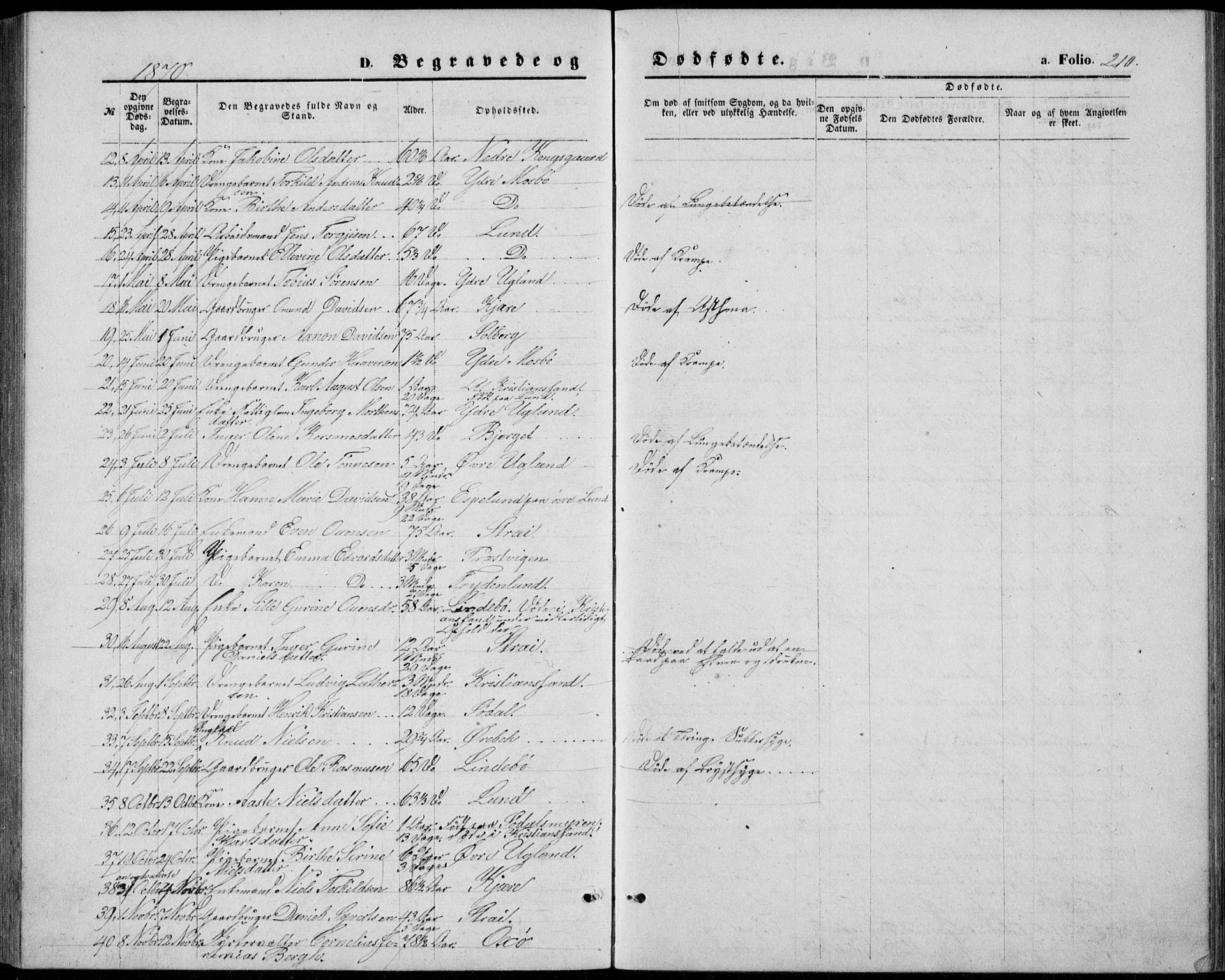 Oddernes sokneprestkontor, SAK/1111-0033/F/Fb/Fba/L0007: Parish register (copy) no. B 7, 1869-1887, p. 210
