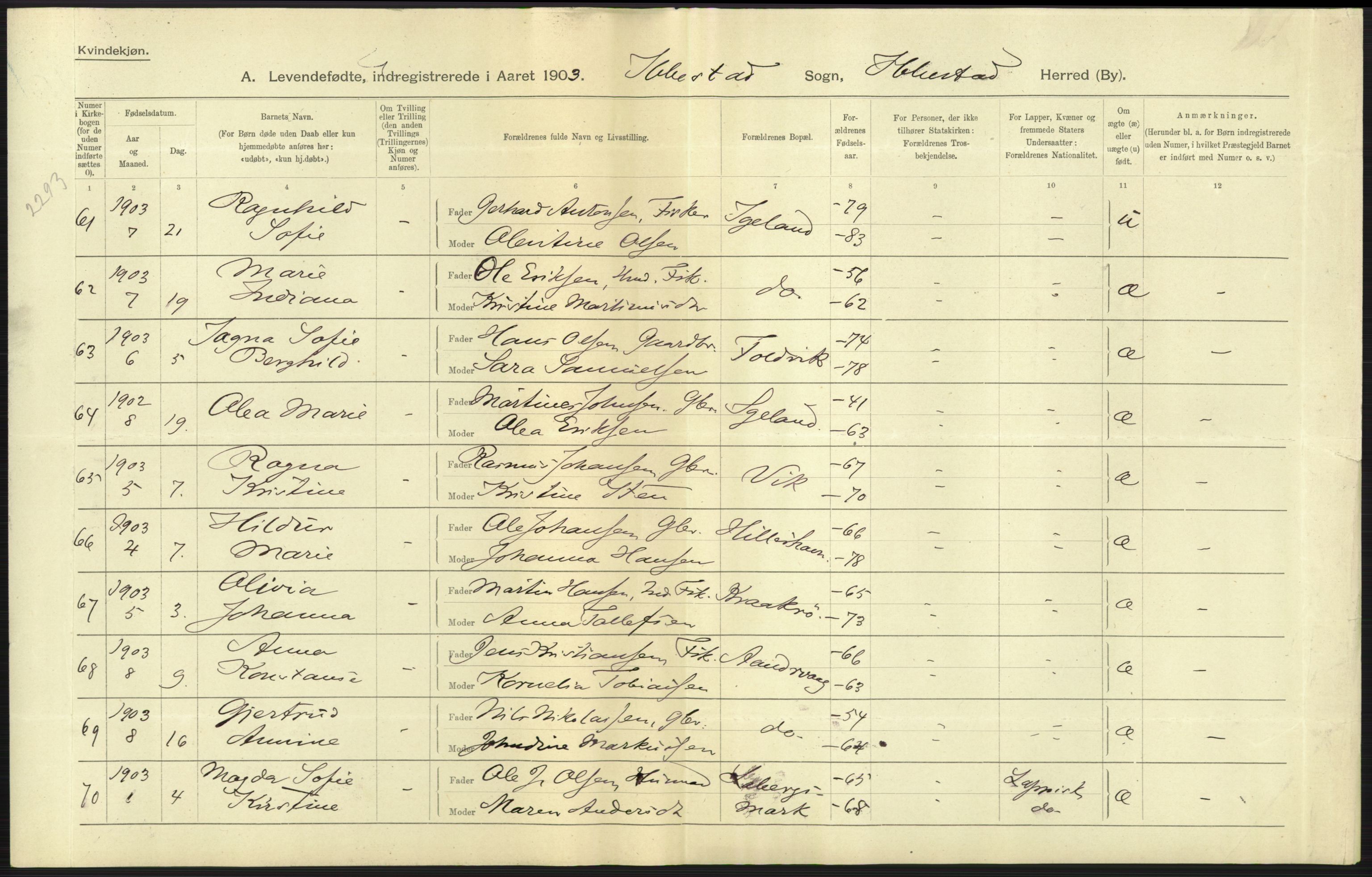 Statistisk sentralbyrå, Sosiodemografiske emner, Befolkning, AV/RA-S-2228/D/Df/Dfa/Dfaa/L0021: Tromsø amt: Fødte, gifte, døde., 1903, p. 11