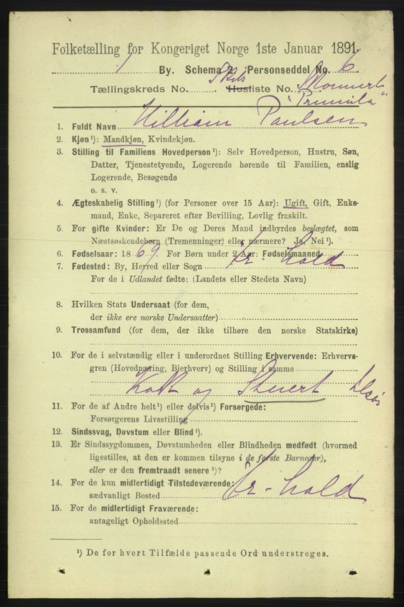 RA, 1891 census for 0101 Fredrikshald, 1891, p. 13813