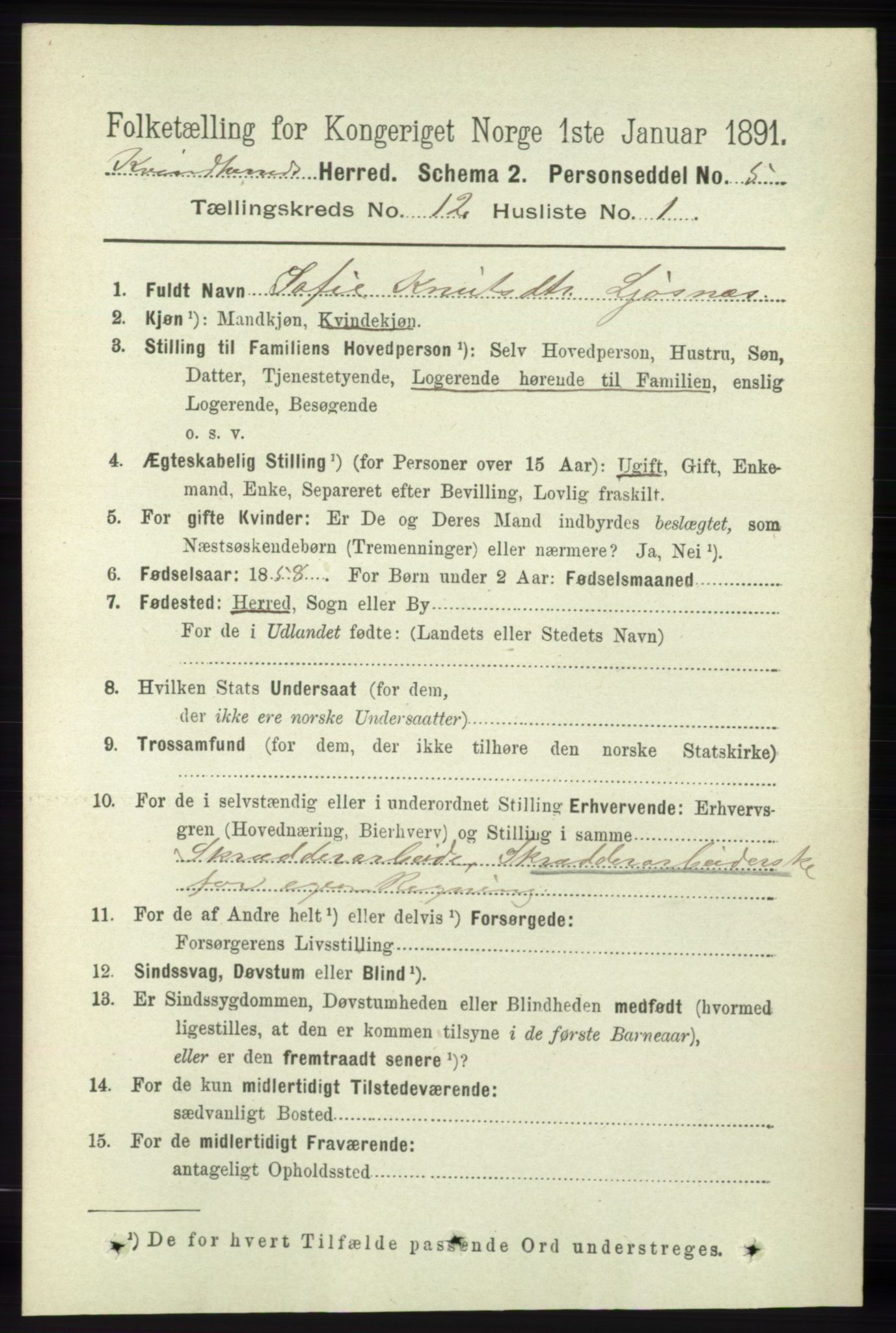 RA, 1891 census for 1224 Kvinnherad, 1891, p. 3969