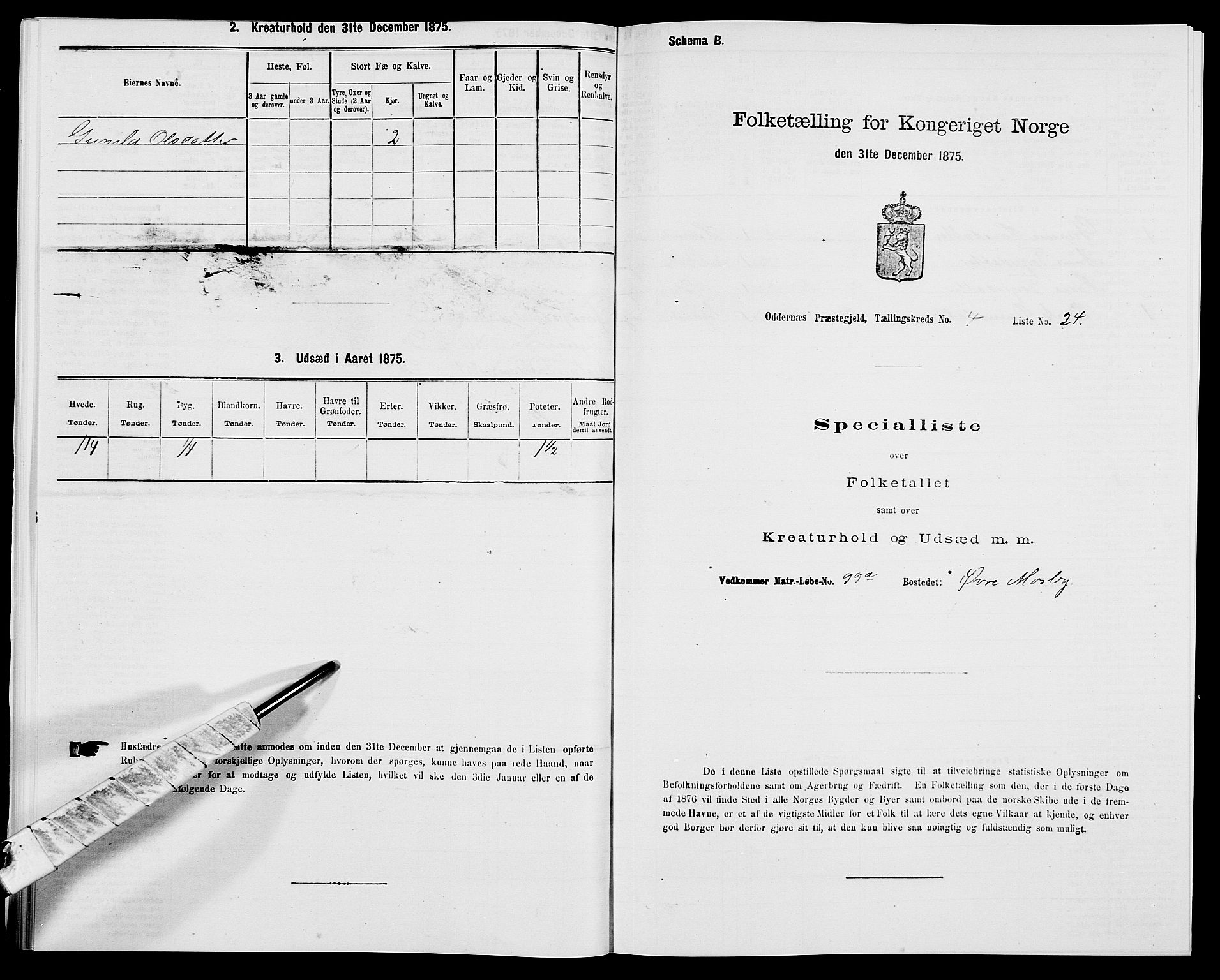 SAK, 1875 census for 1012P Oddernes, 1875, p. 610