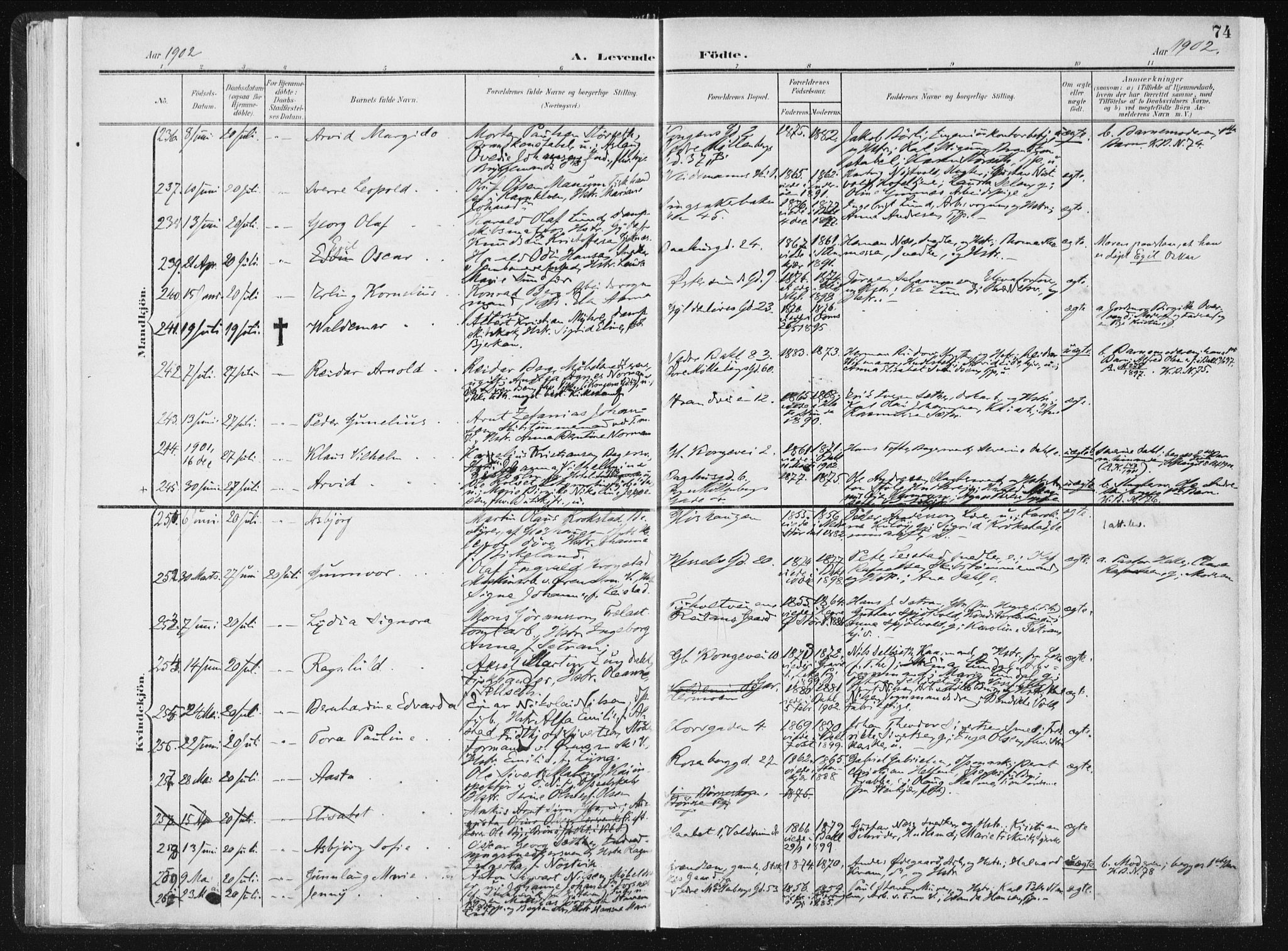 Ministerialprotokoller, klokkerbøker og fødselsregistre - Sør-Trøndelag, AV/SAT-A-1456/604/L0199: Parish register (official) no. 604A20I, 1901-1906, p. 74