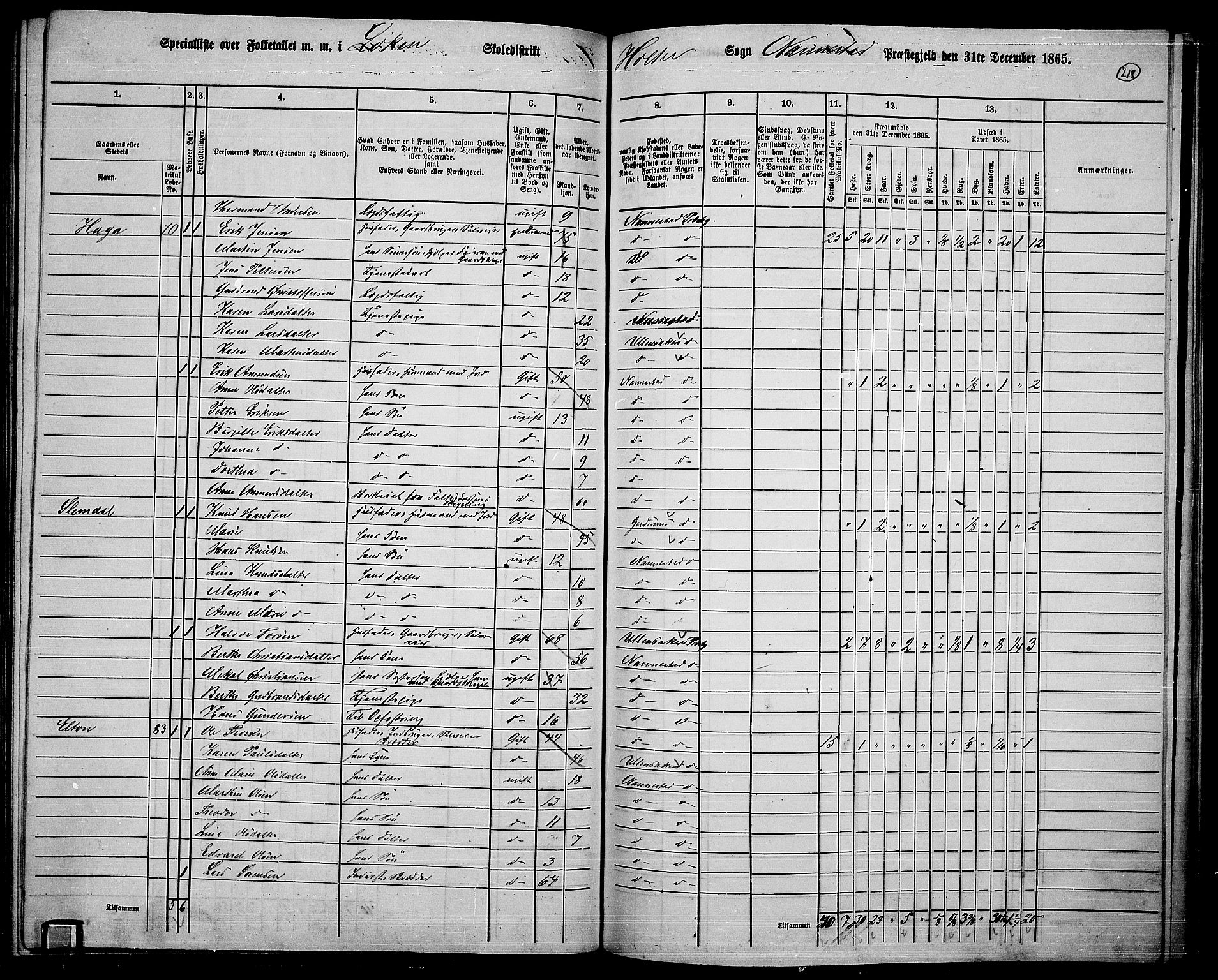 RA, 1865 census for Nannestad, 1865, p. 100