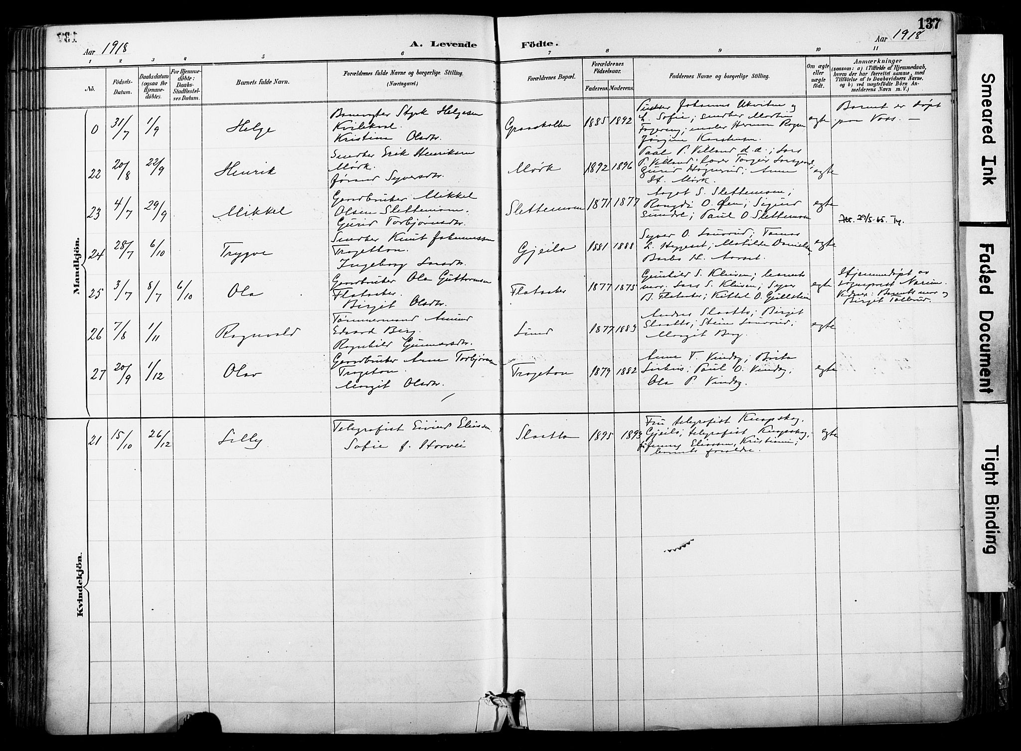 Hol kirkebøker, AV/SAKO-A-227/F/Fa/L0003: Parish register (official) no. I 3, 1887-1918, p. 137