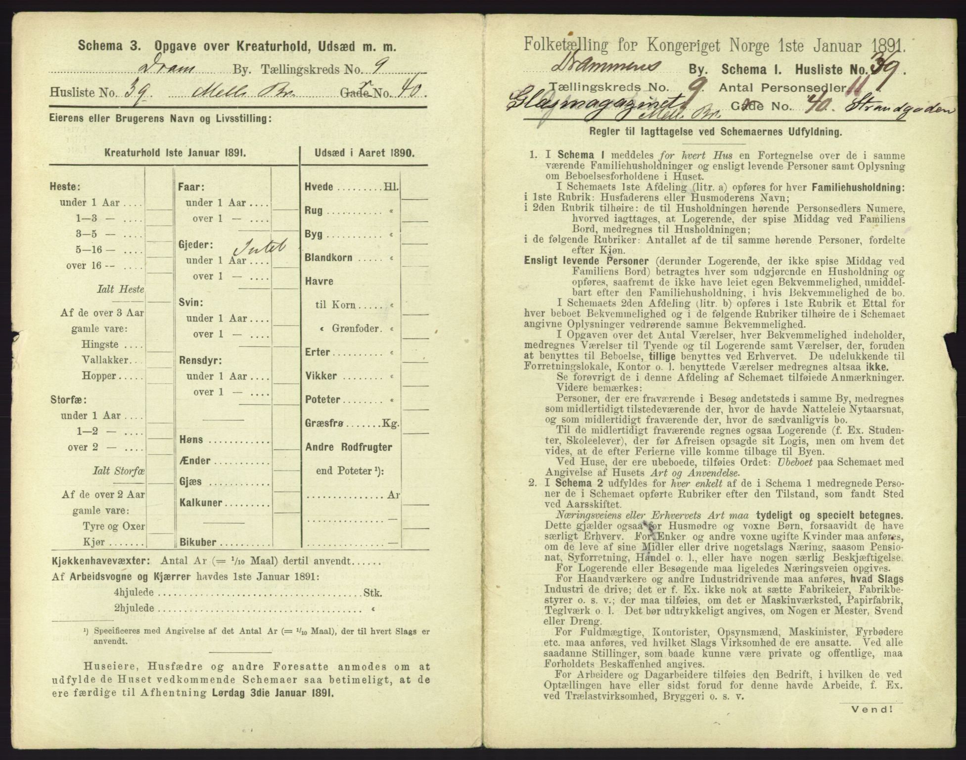 RA, 1891 census for 0602 Drammen, 1891, p. 821