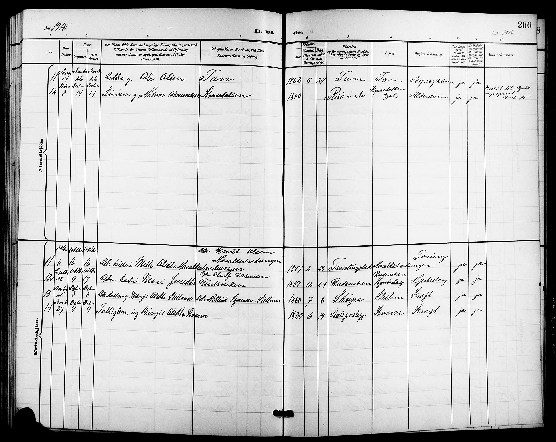 Nes kirkebøker, AV/SAKO-A-236/G/Ga/L0004: Parish register (copy) no. I 4, 1900-1925, p. 266