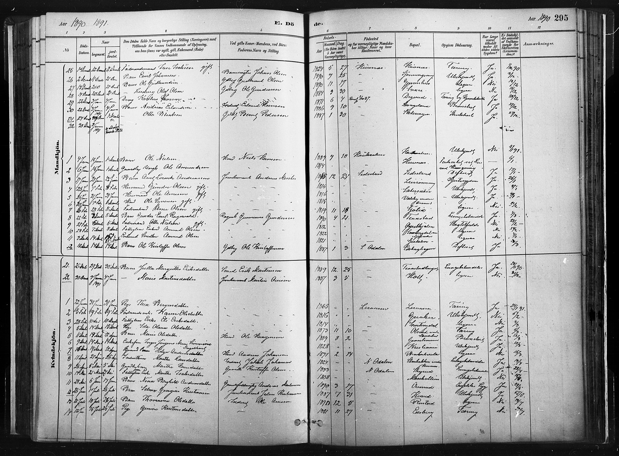 Vinger prestekontor, SAH/PREST-024/H/Ha/Haa/L0014: Parish register (official) no. 14, 1881-1900, p. 295