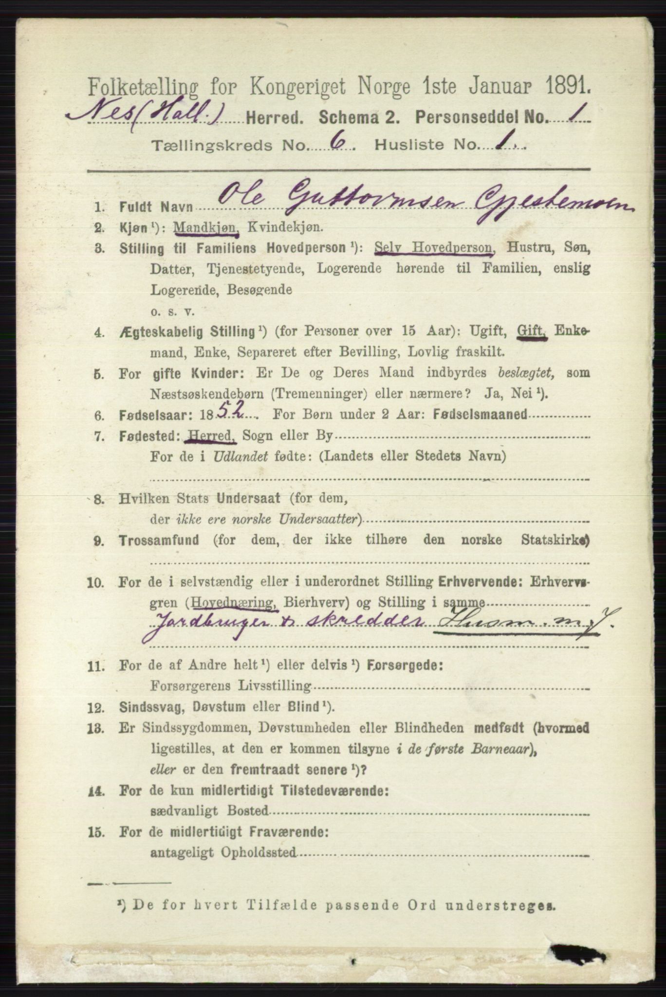 RA, 1891 census for 0616 Nes, 1891, p. 3044