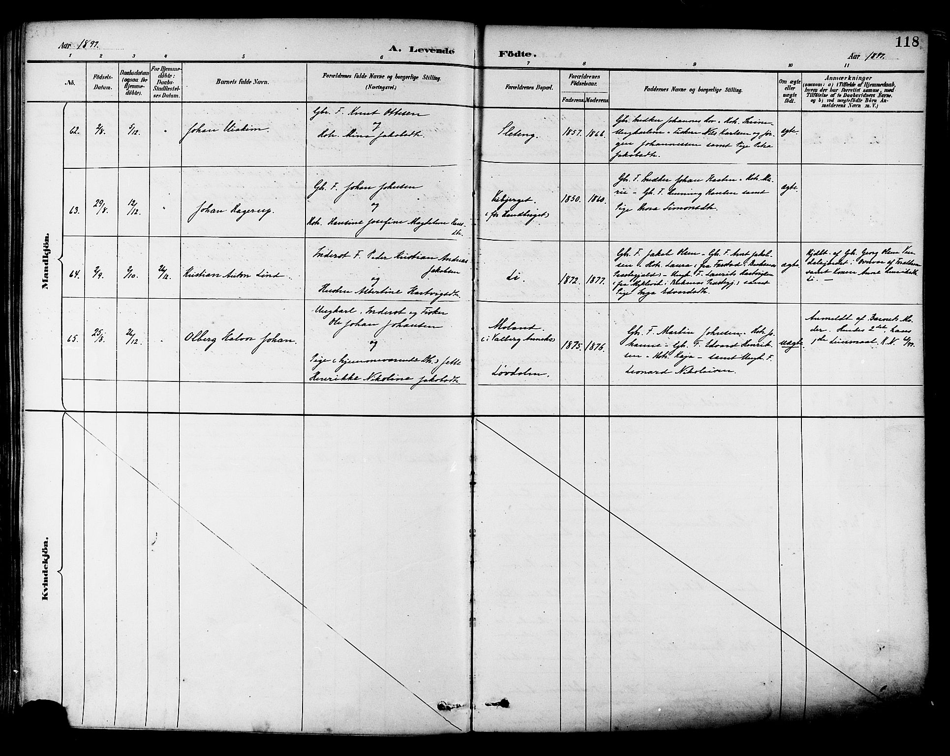 Ministerialprotokoller, klokkerbøker og fødselsregistre - Nordland, AV/SAT-A-1459/880/L1133: Parish register (official) no. 880A07, 1888-1898, p. 118