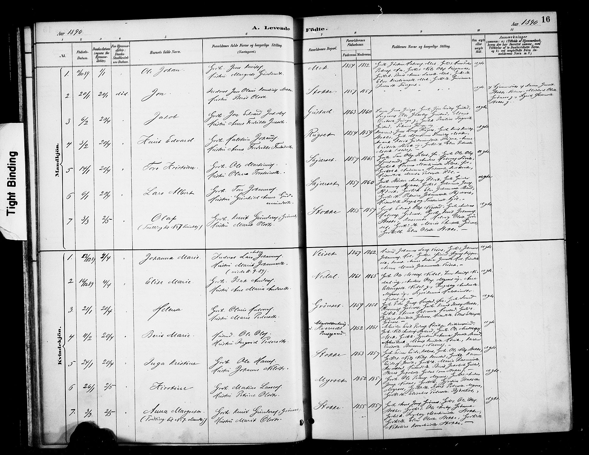 Ministerialprotokoller, klokkerbøker og fødselsregistre - Møre og Romsdal, SAT/A-1454/568/L0809: Parish register (official) no. 568A13, 1884-1900, p. 16