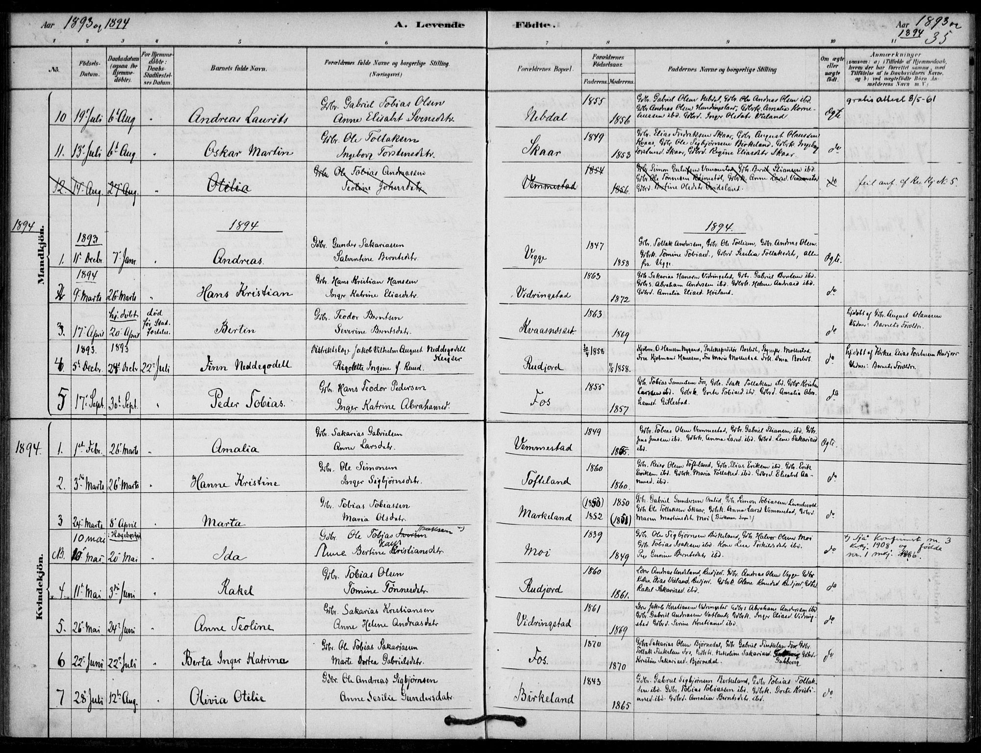 Lyngdal sokneprestkontor, SAK/1111-0029/F/Fa/Fab/L0003: Parish register (official) no. A 3, 1878-1903, p. 35