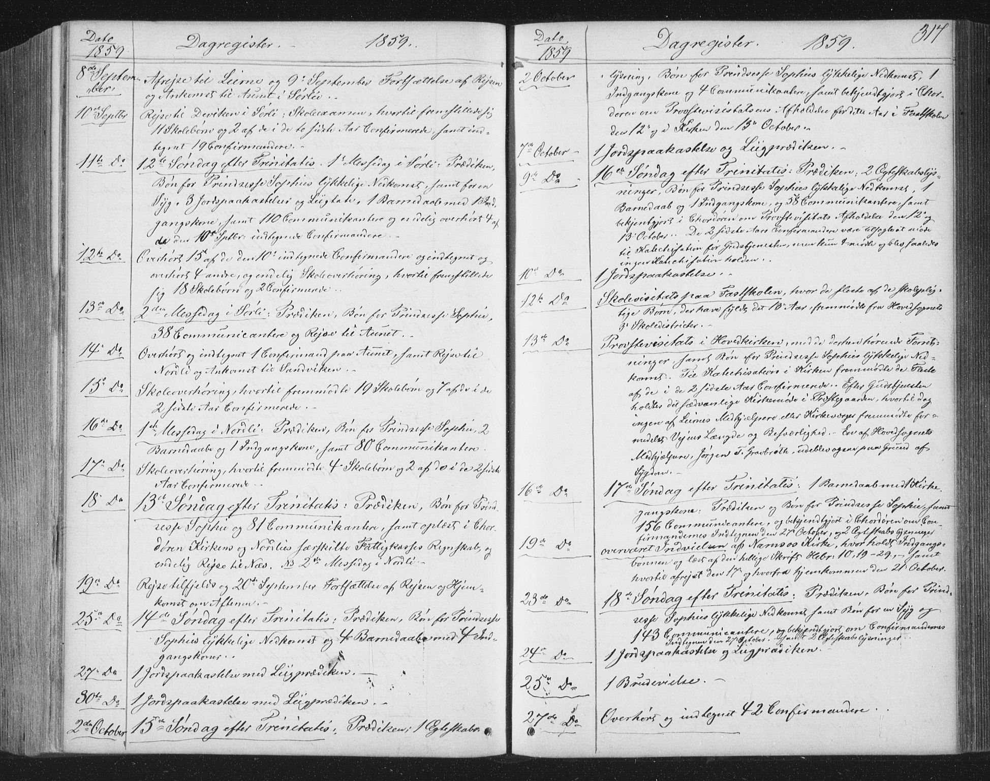 Ministerialprotokoller, klokkerbøker og fødselsregistre - Nord-Trøndelag, SAT/A-1458/749/L0472: Parish register (official) no. 749A06, 1857-1873, p. 317