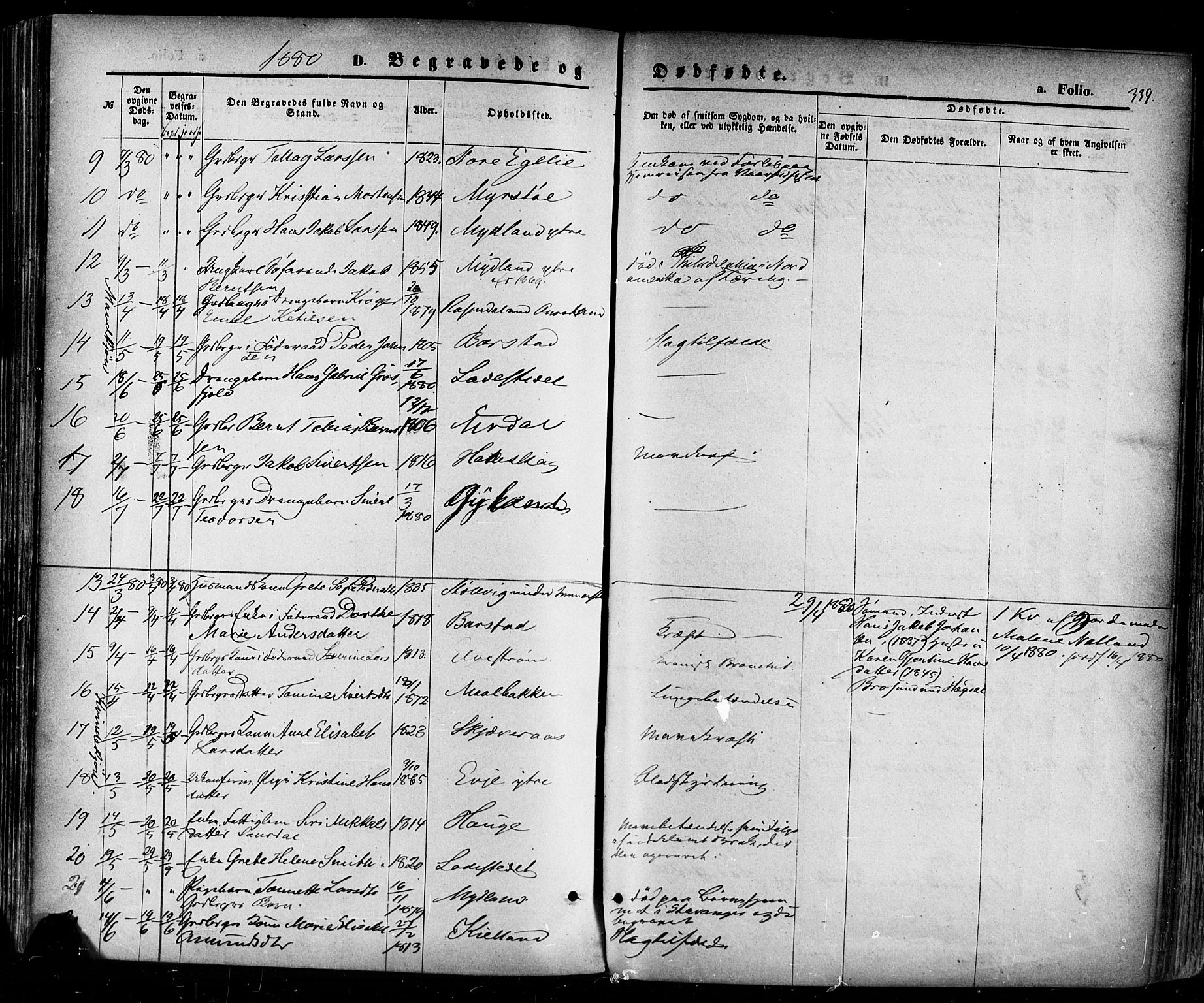 Sokndal sokneprestkontor, AV/SAST-A-101808: Parish register (official) no. A 10, 1874-1886, p. 339