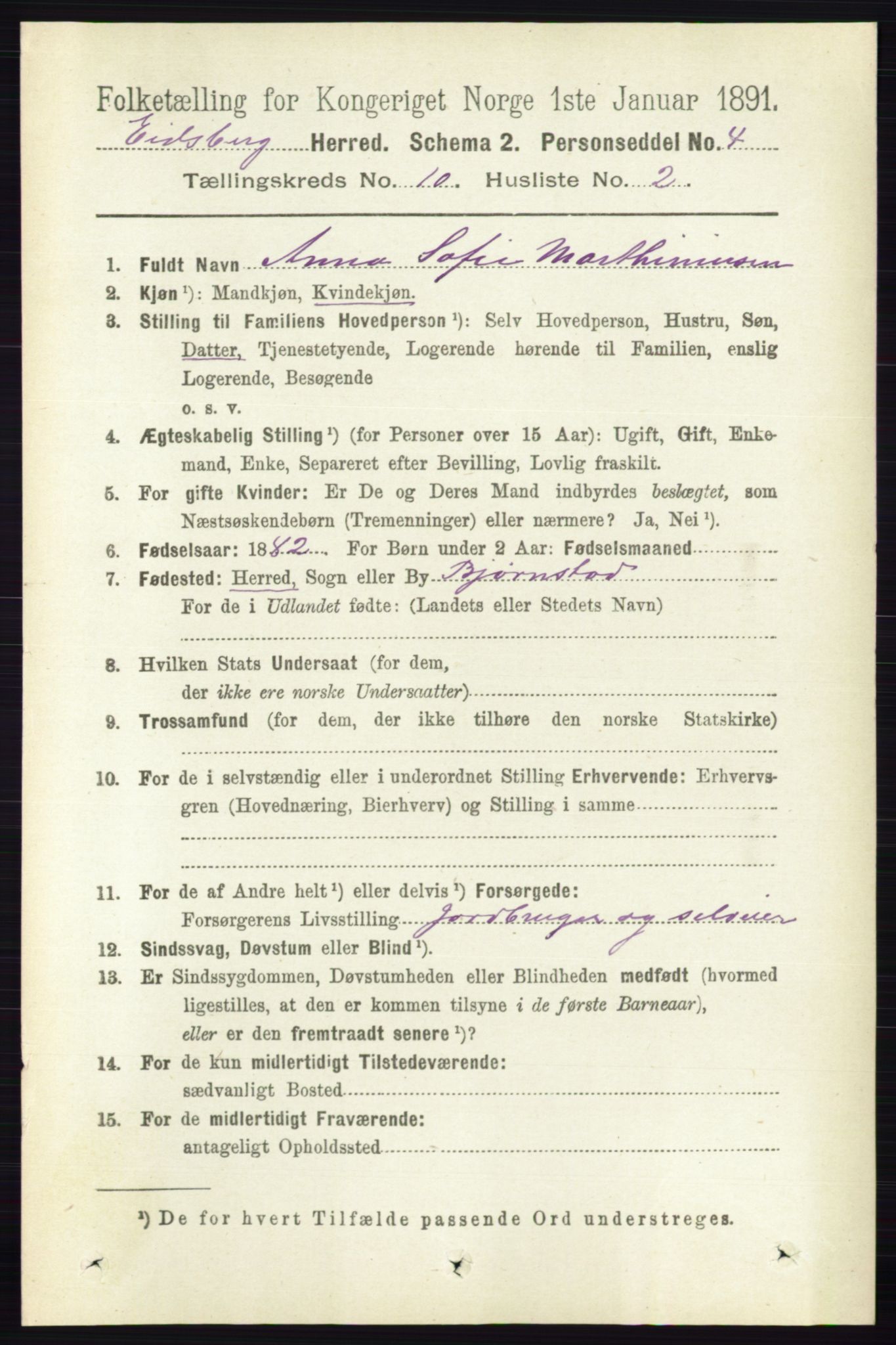 RA, 1891 census for 0125 Eidsberg, 1891, p. 5676