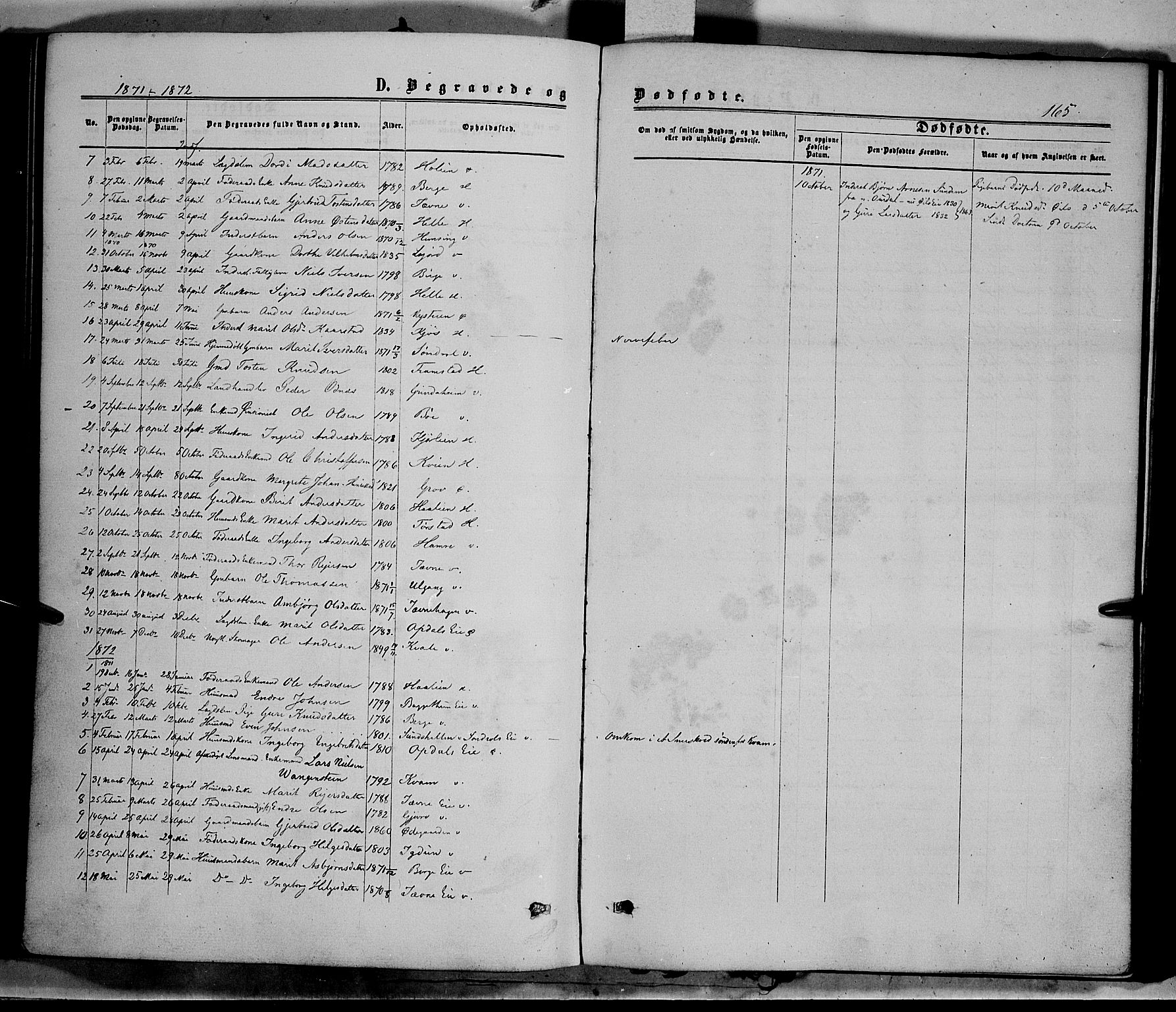Vang prestekontor, Valdres, SAH/PREST-140/H/Ha/L0007: Parish register (official) no. 7, 1865-1881, p. 165