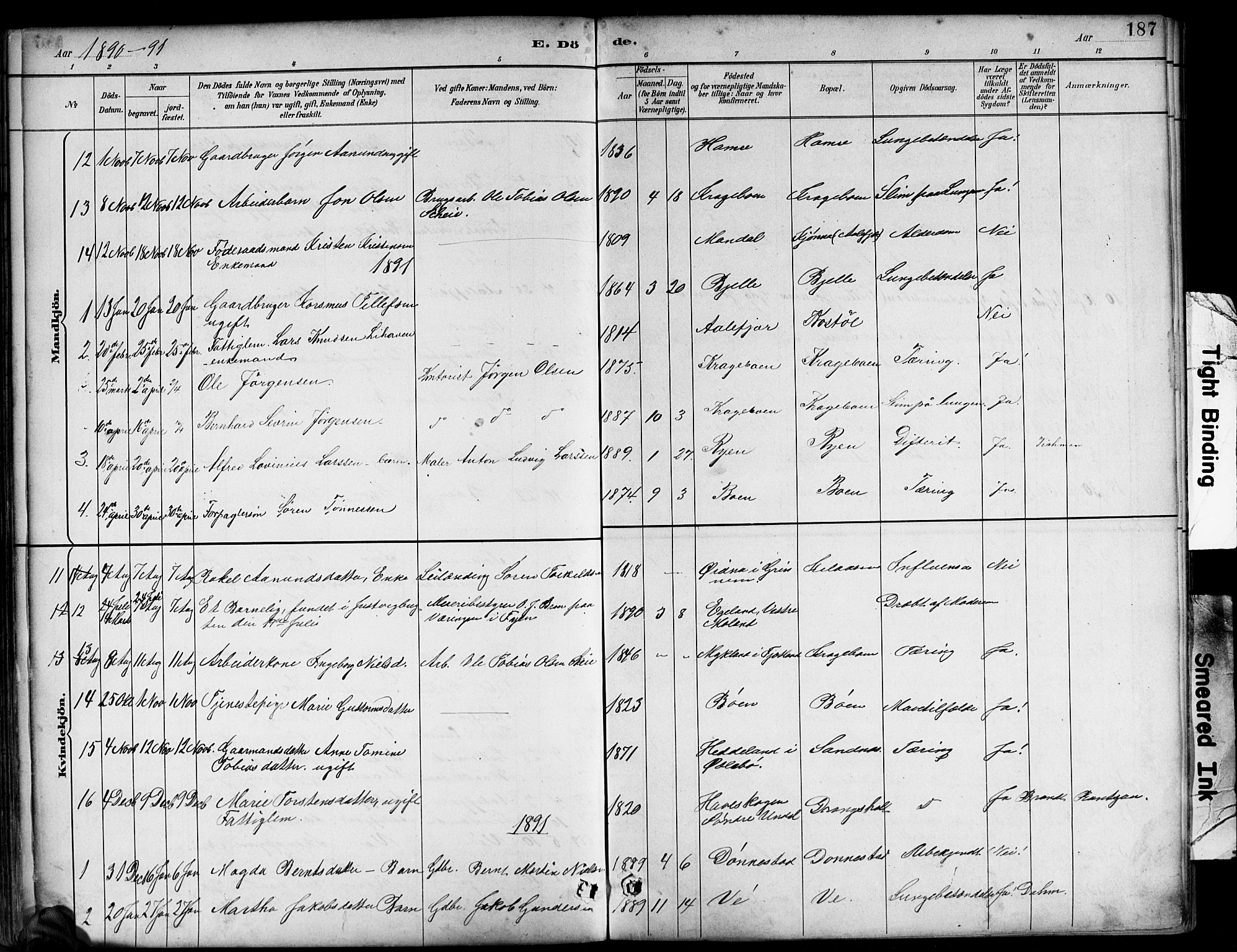 Tveit sokneprestkontor, AV/SAK-1111-0043/F/Fb/L0004: Parish register (copy) no. B 4, 1887-1914, p. 187