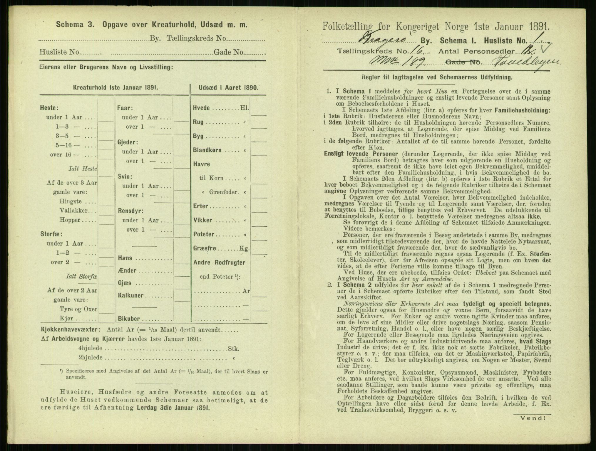 RA, 1891 census for 0801 Kragerø, 1891, p. 724