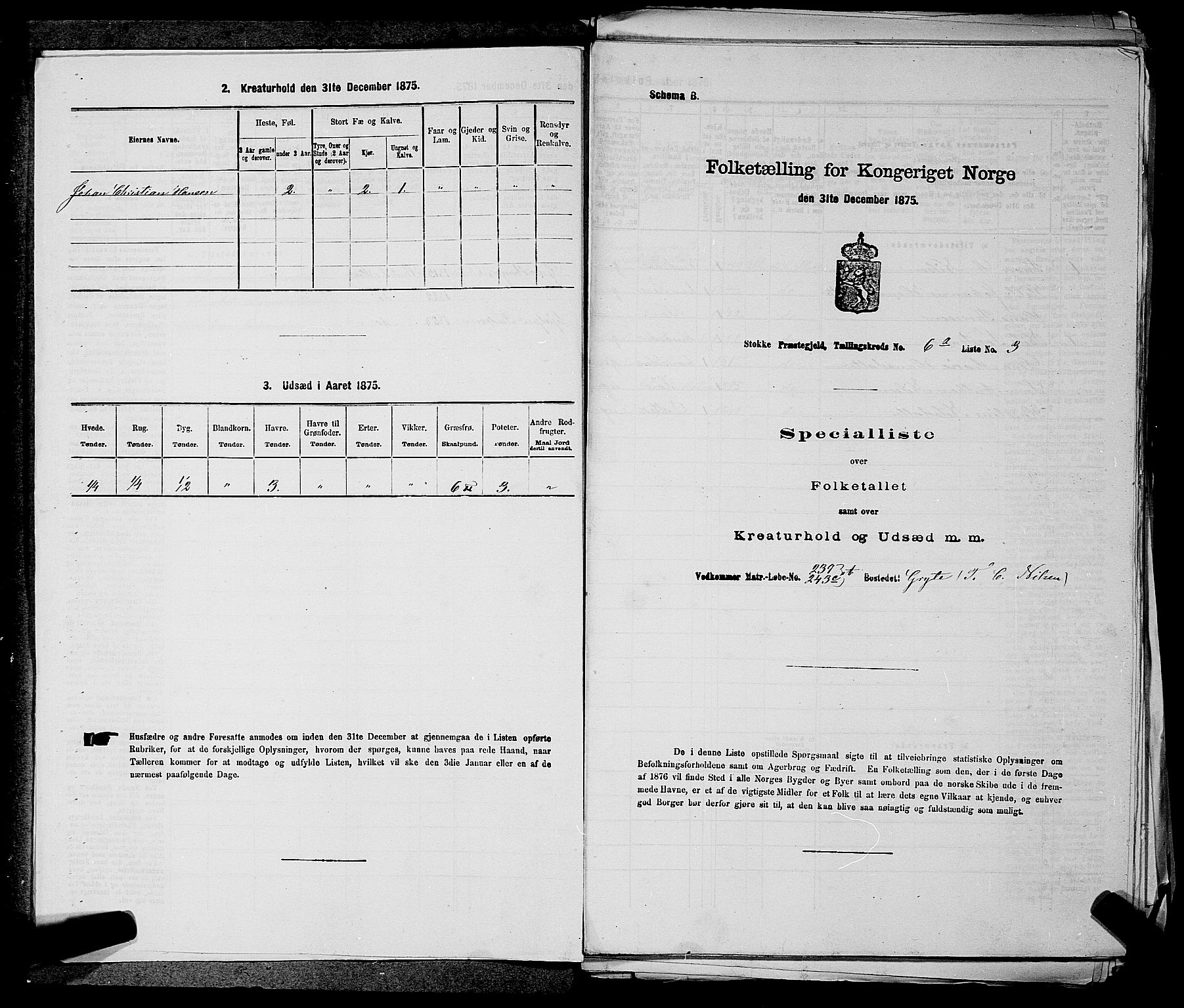 SAKO, 1875 census for 0720P Stokke, 1875, p. 1246