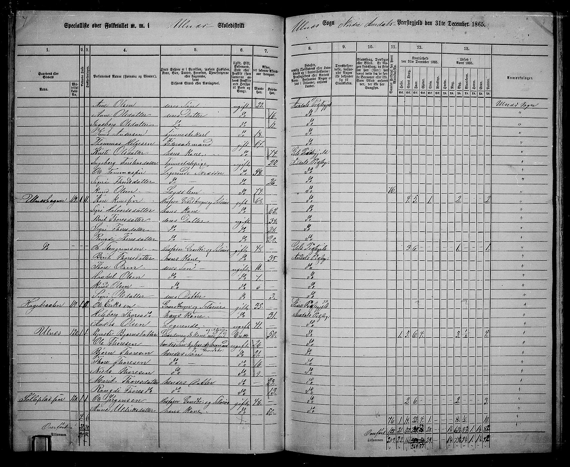 RA, 1865 census for Nord-Aurdal, 1865, p. 116