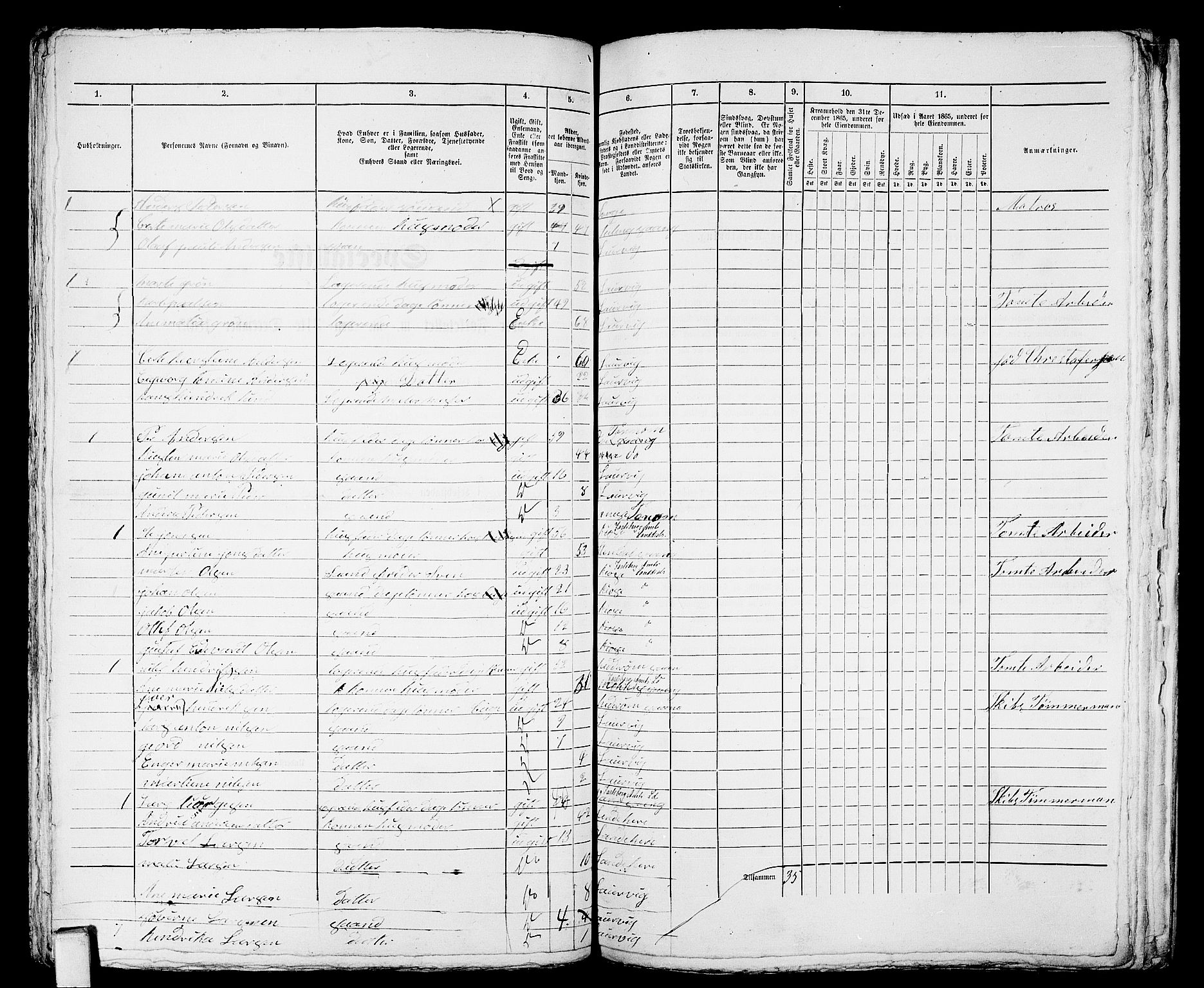 RA, 1865 census for Larvik, 1865, p. 865