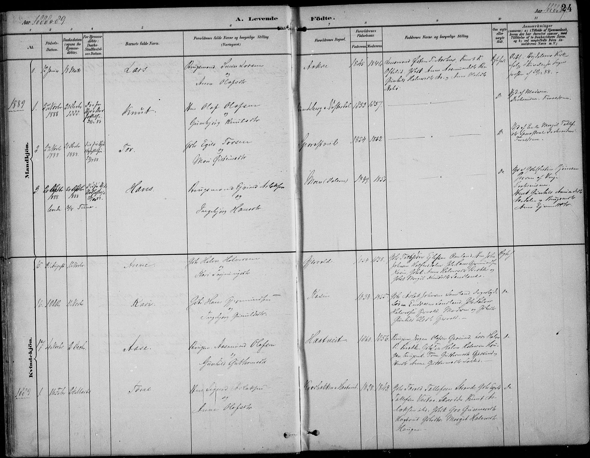 Kviteseid kirkebøker, SAKO/A-276/F/Fb/L0002: Parish register (official) no. II 2, 1882-1916, p. 24